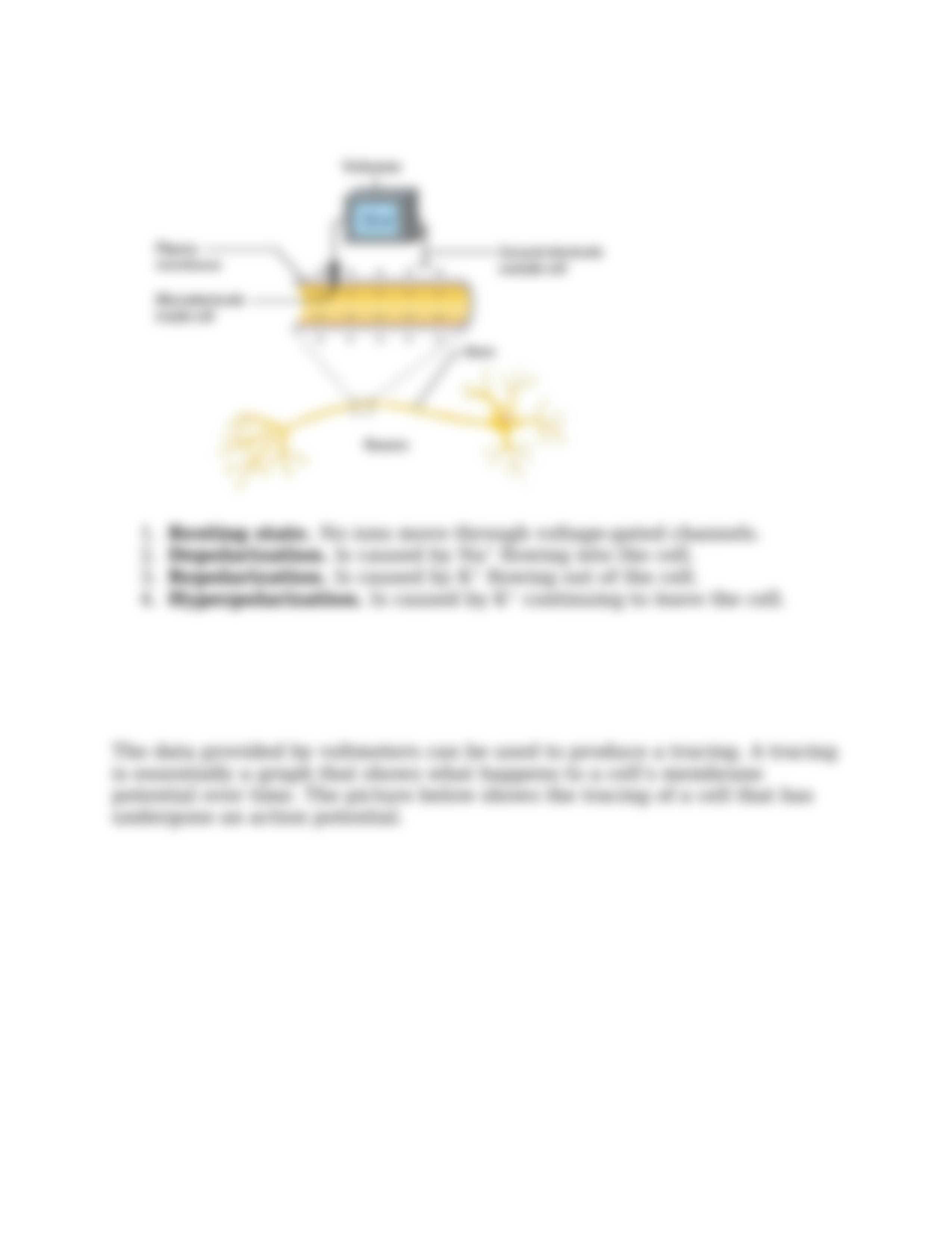 RMP, AP, and Chemical Synapse_djvqa2ju849_page5