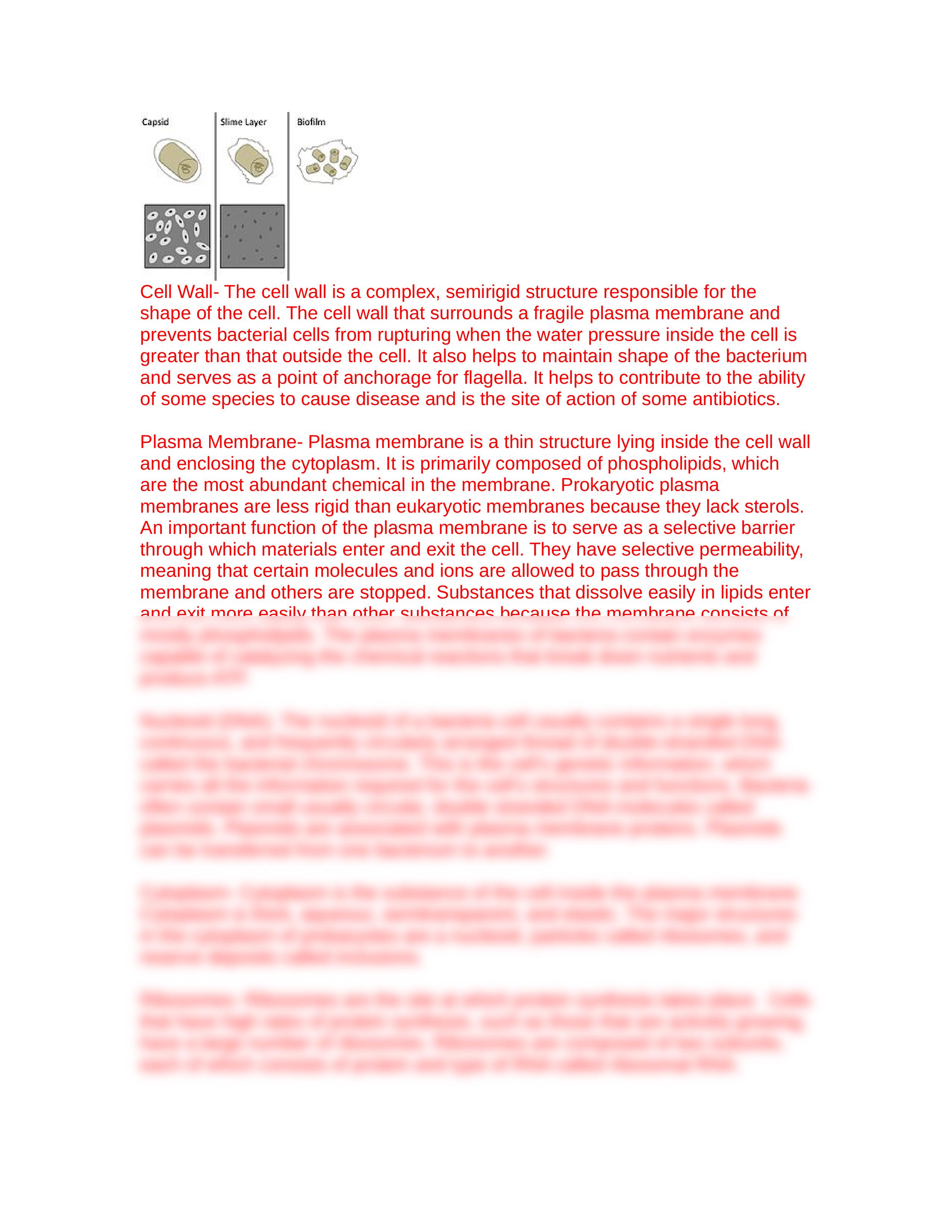 ASSN 4.2 PROKARYOTE VERSUS EUKARYOTE KEY.docx_dk023nzetak_page2