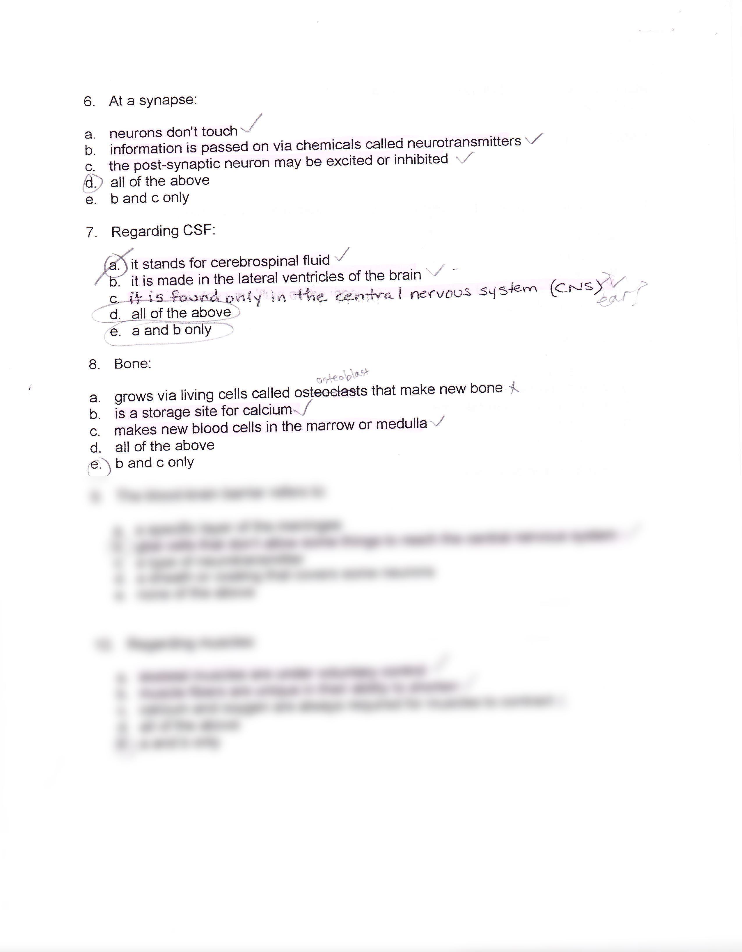 Anatomy and physiology 2012 exam 2_dk1hvc457jw_page2