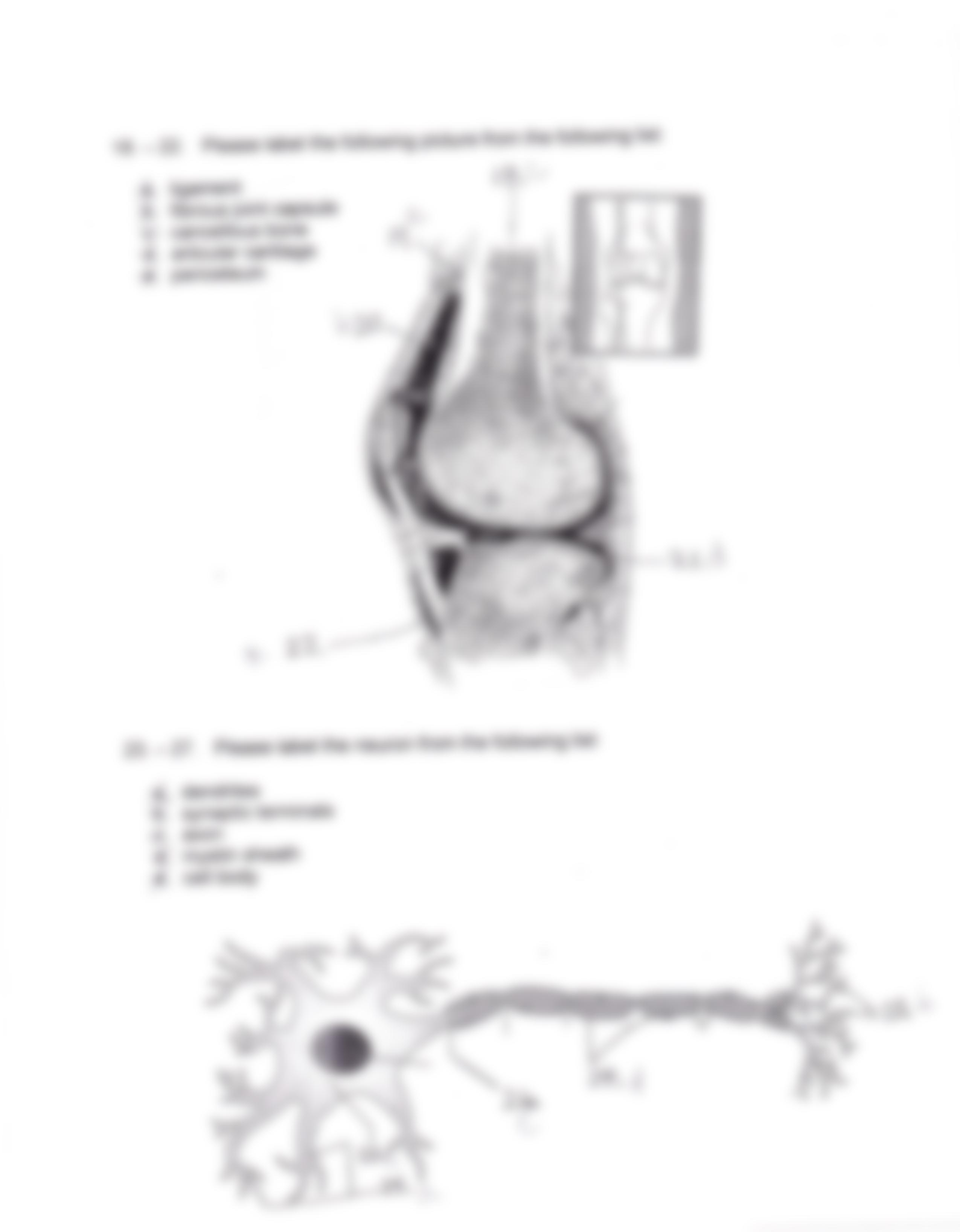 Anatomy and physiology 2012 exam 2_dk1hvc457jw_page4