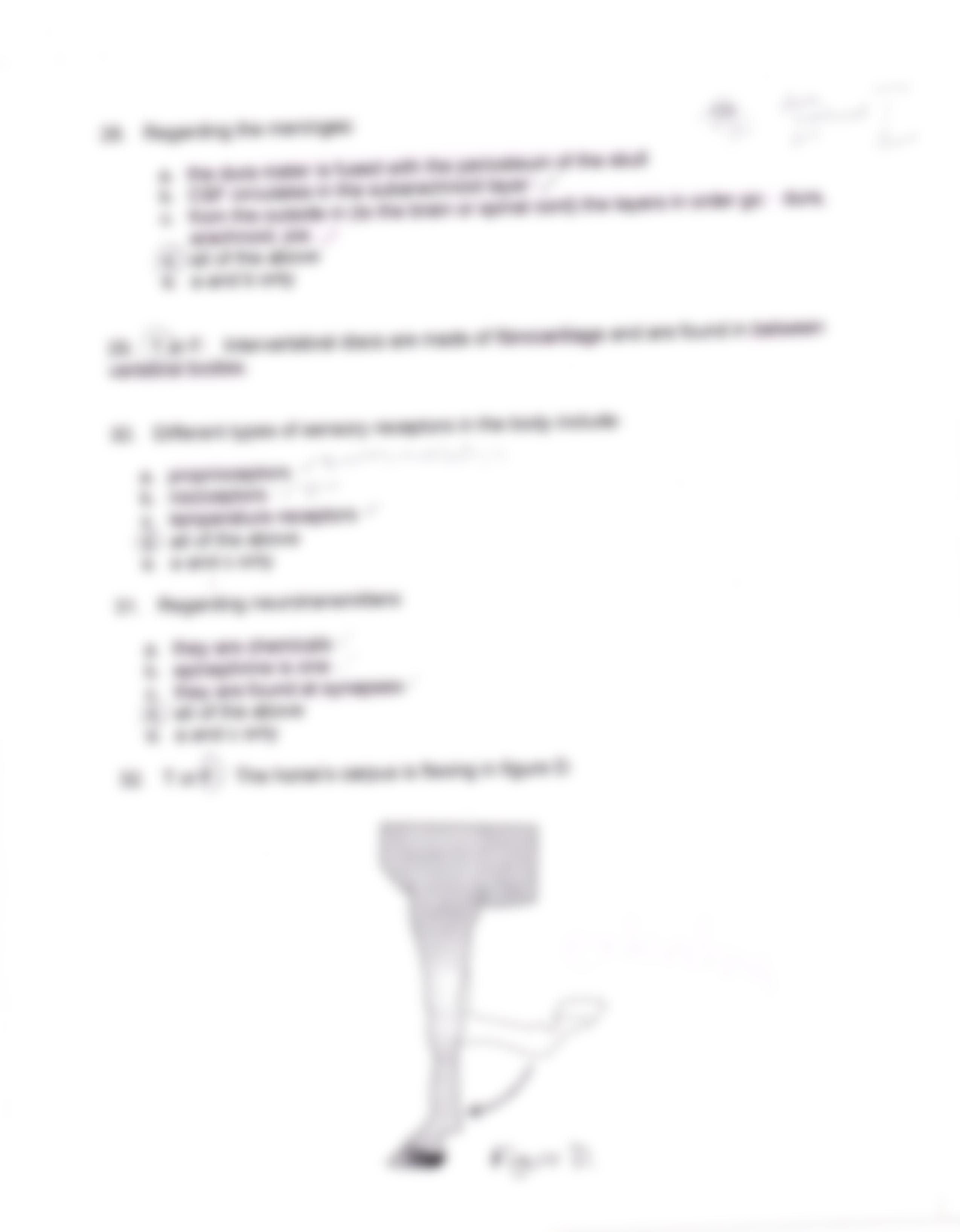 Anatomy and physiology 2012 exam 2_dk1hvc457jw_page5