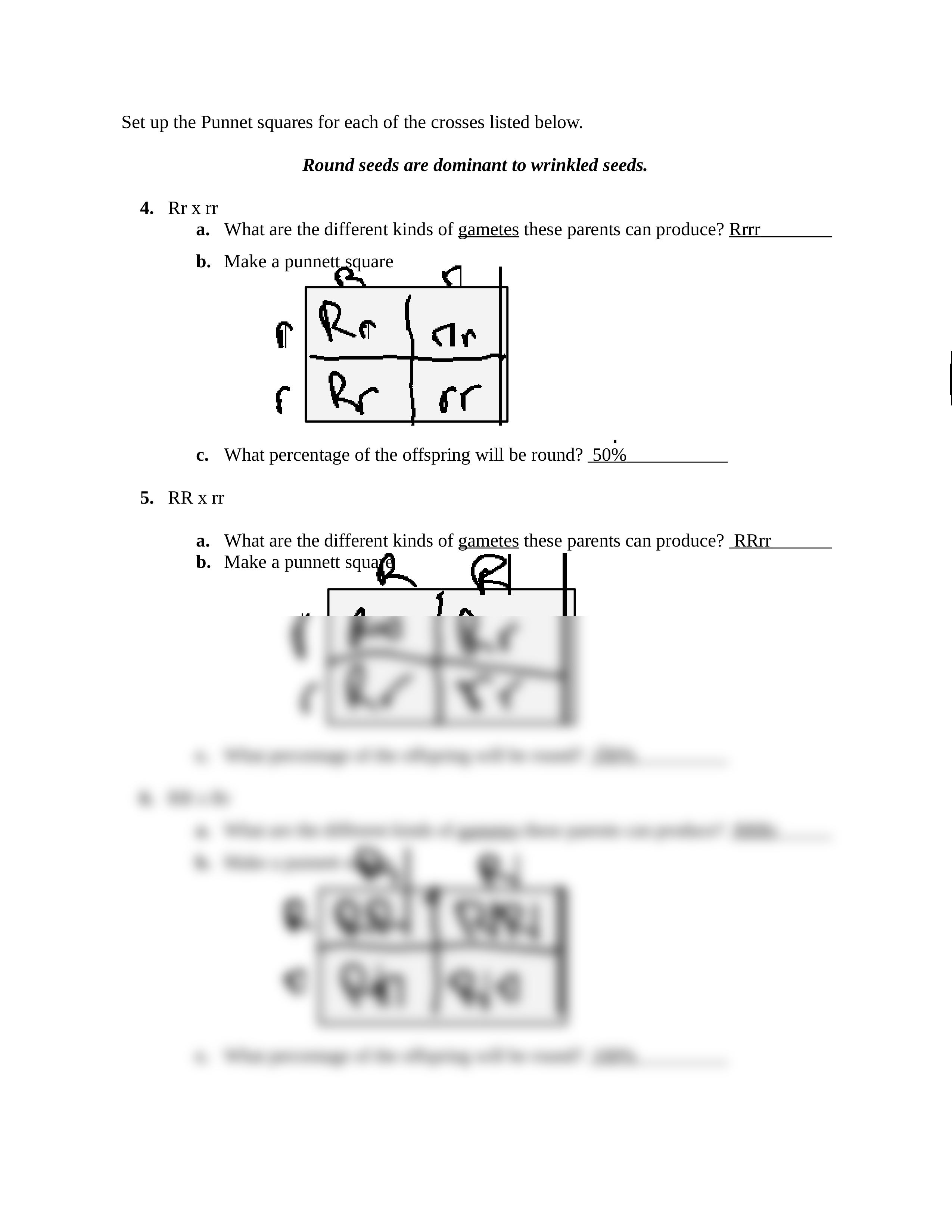 Bio punnett-squares-worksheet.docx_dk47tszij1j_page2