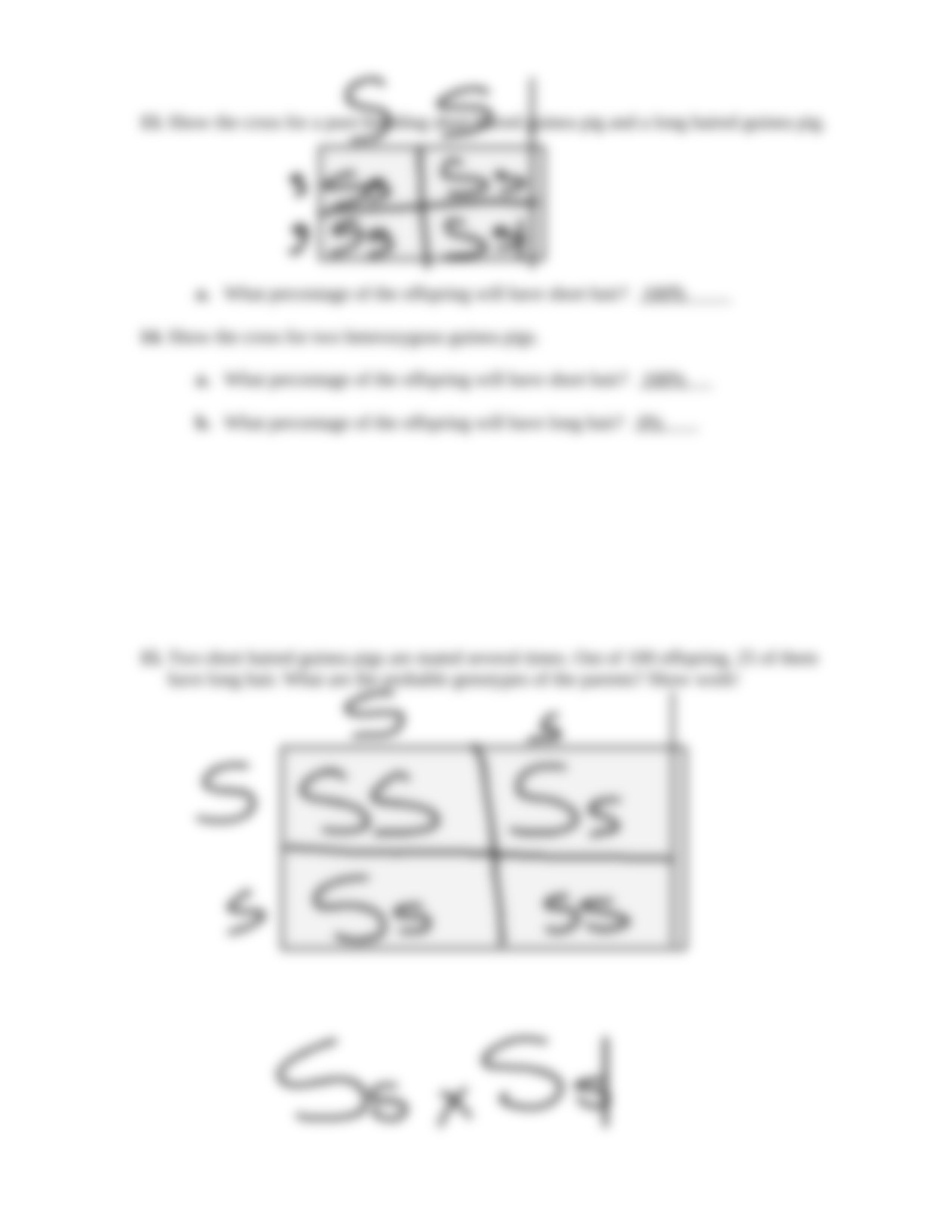 Bio punnett-squares-worksheet.docx_dk47tszij1j_page5