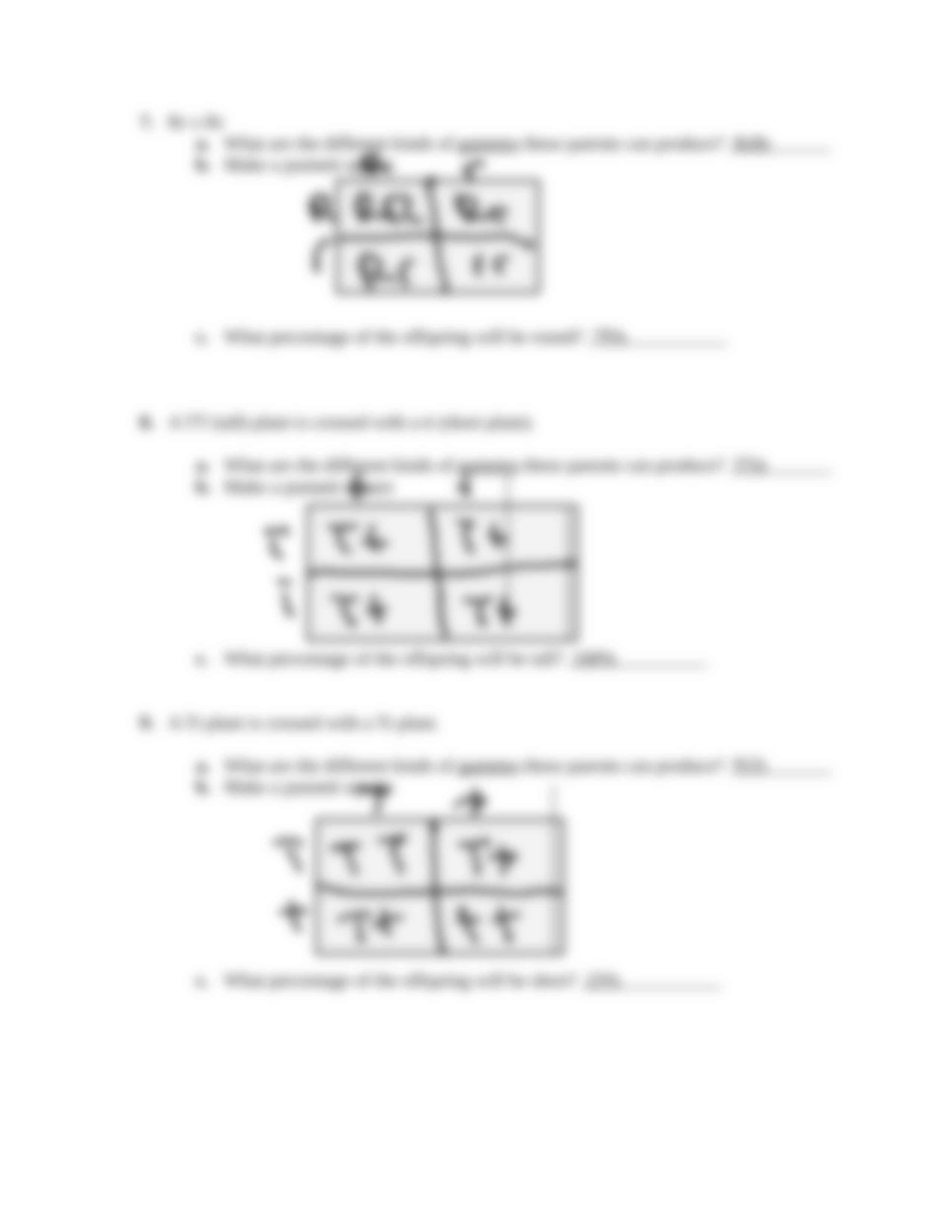 Bio punnett-squares-worksheet.docx_dk47tszij1j_page3