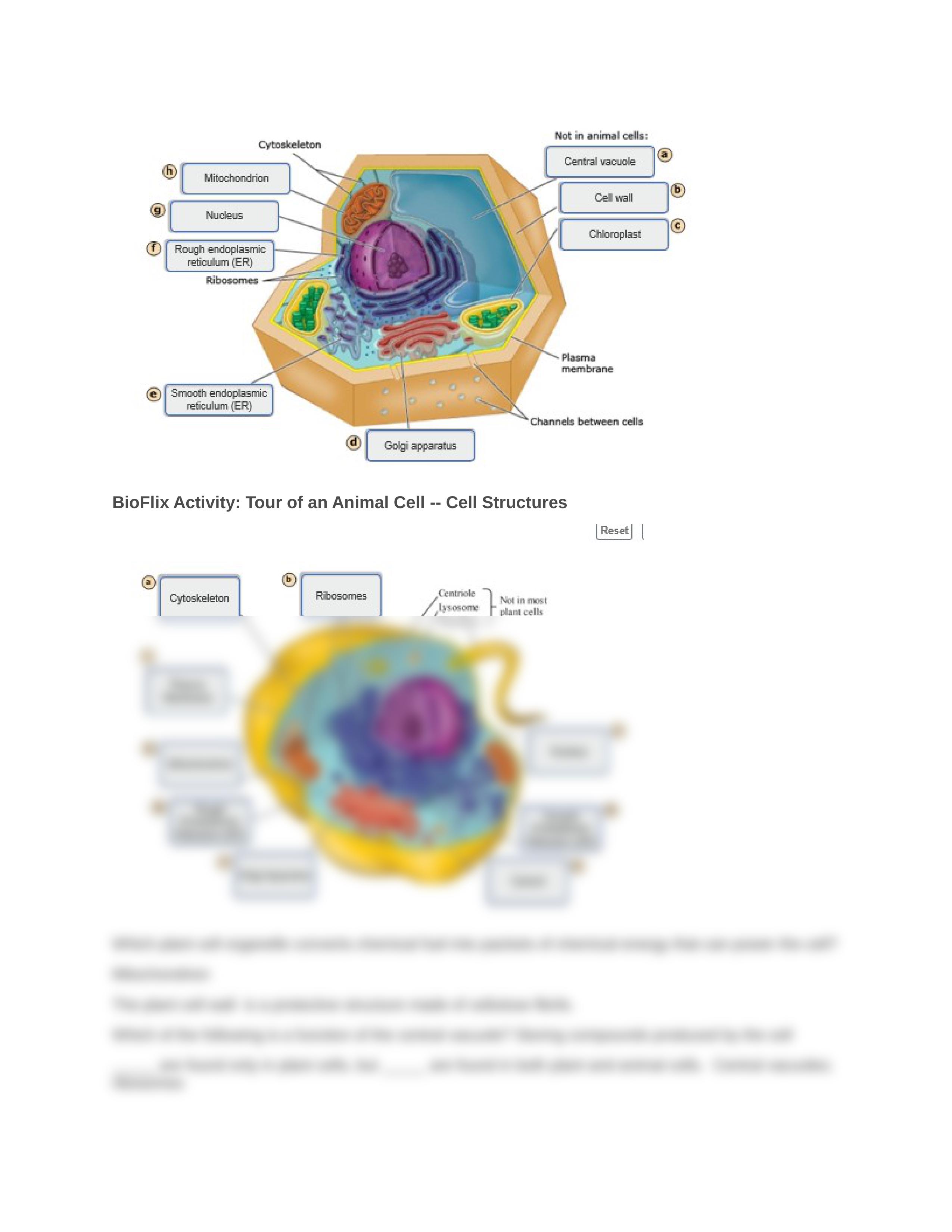 Chapter 4.docx_dk80lijhwr6_page2