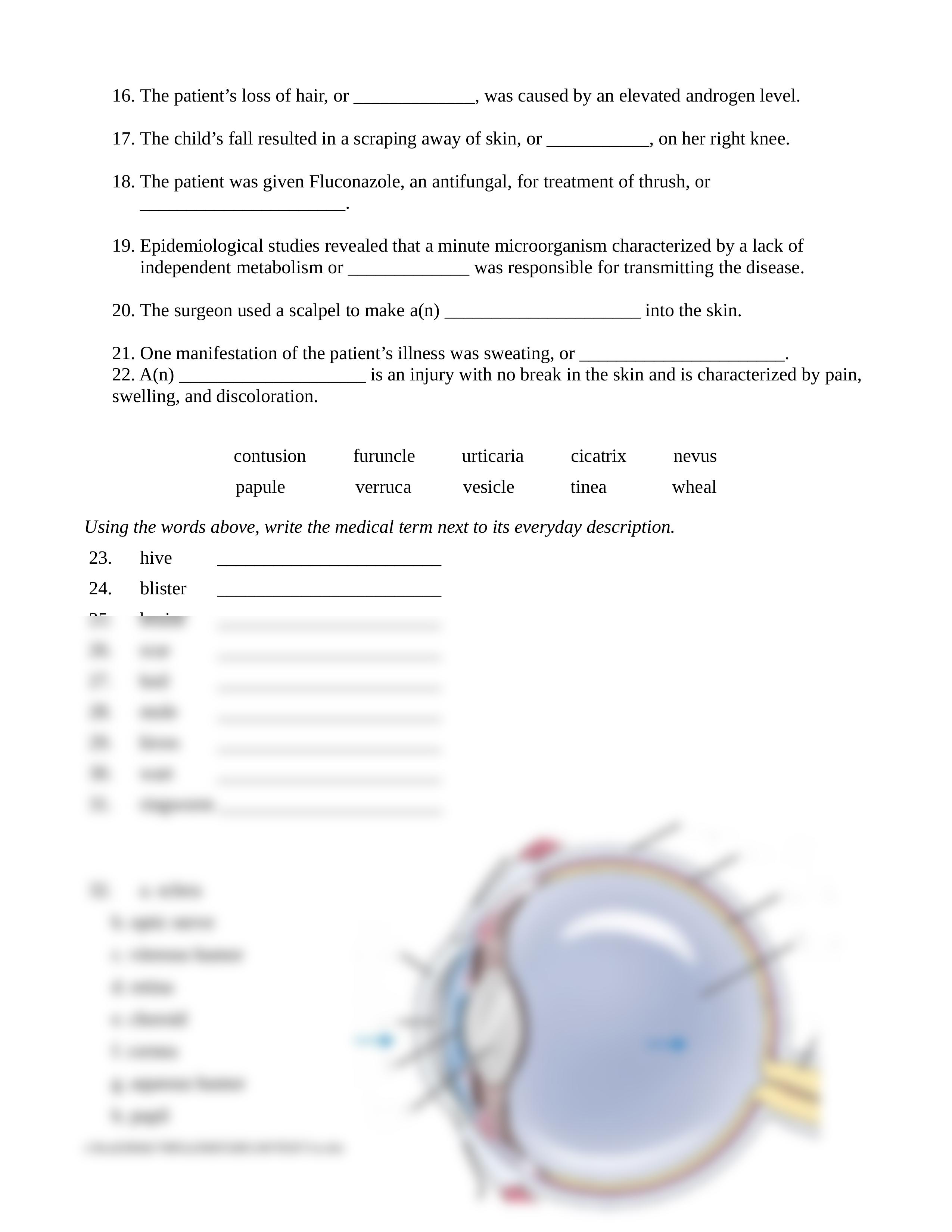 Quiz 2 Ch 4.12.13.doc_dk84a751ww4_page2