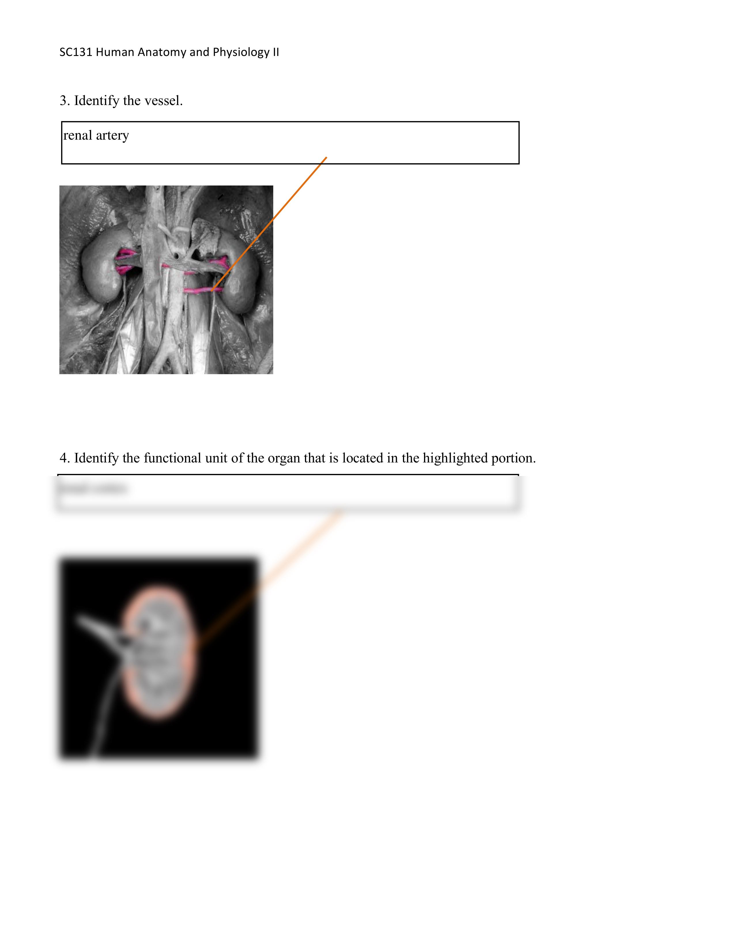 A&P 2 UNIT 6 ASSIGNMENT 2_dkagroptpnr_page2