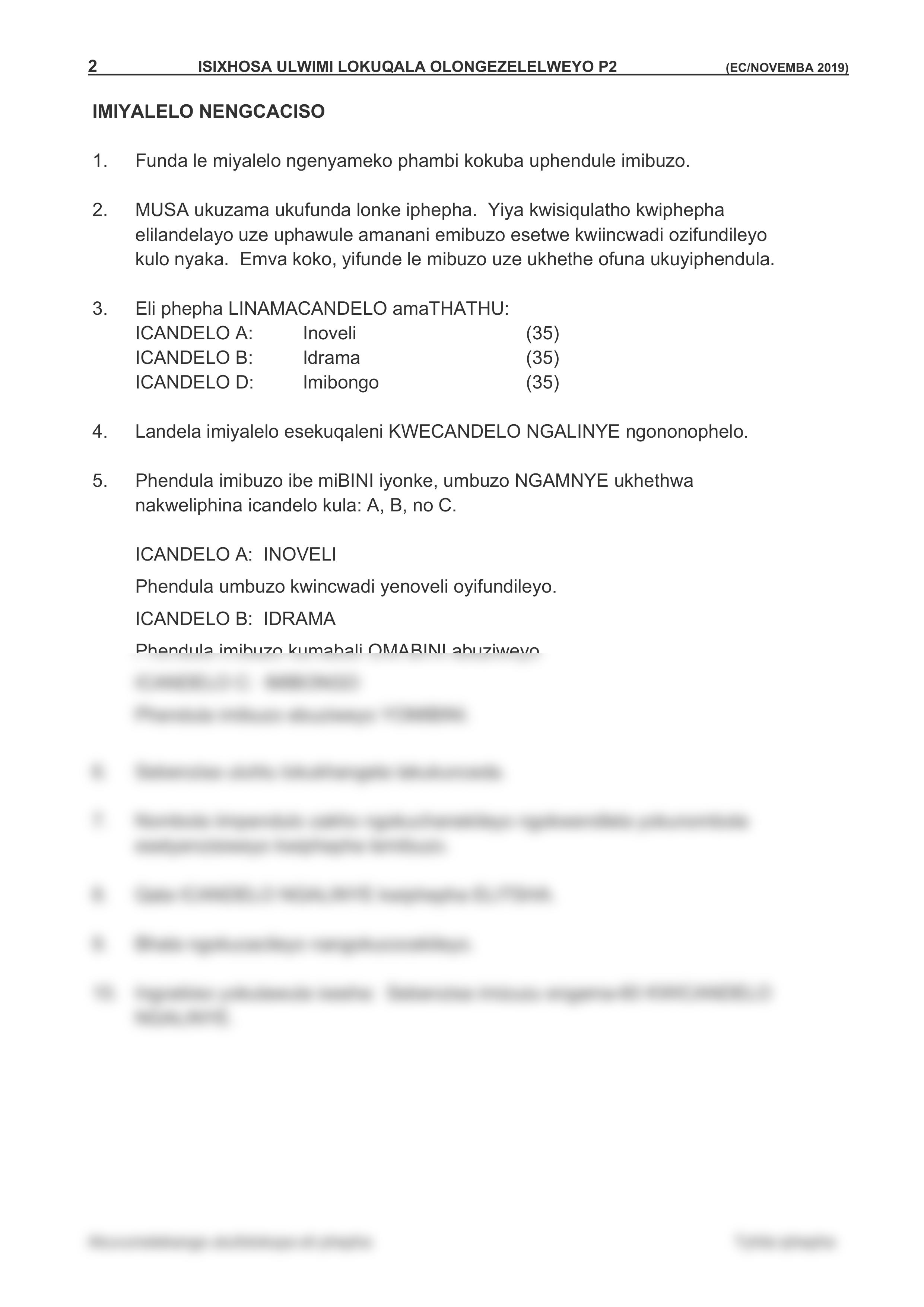 XHOSA FAL P2 GR11 2019 QP D.pdf_dkd0o6anxyr_page2