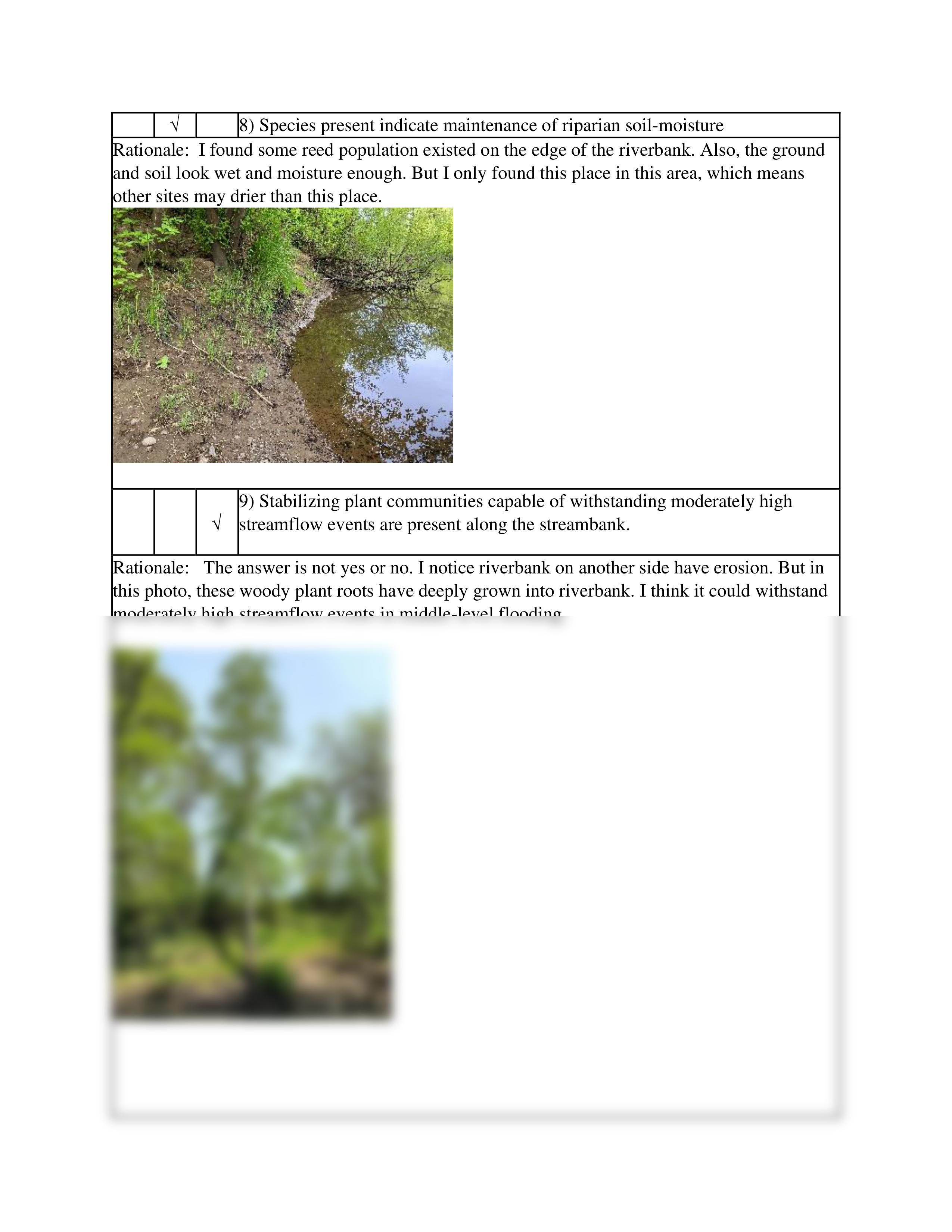 Vegetation Lab.pdf_dkjw1bhknxa_page2