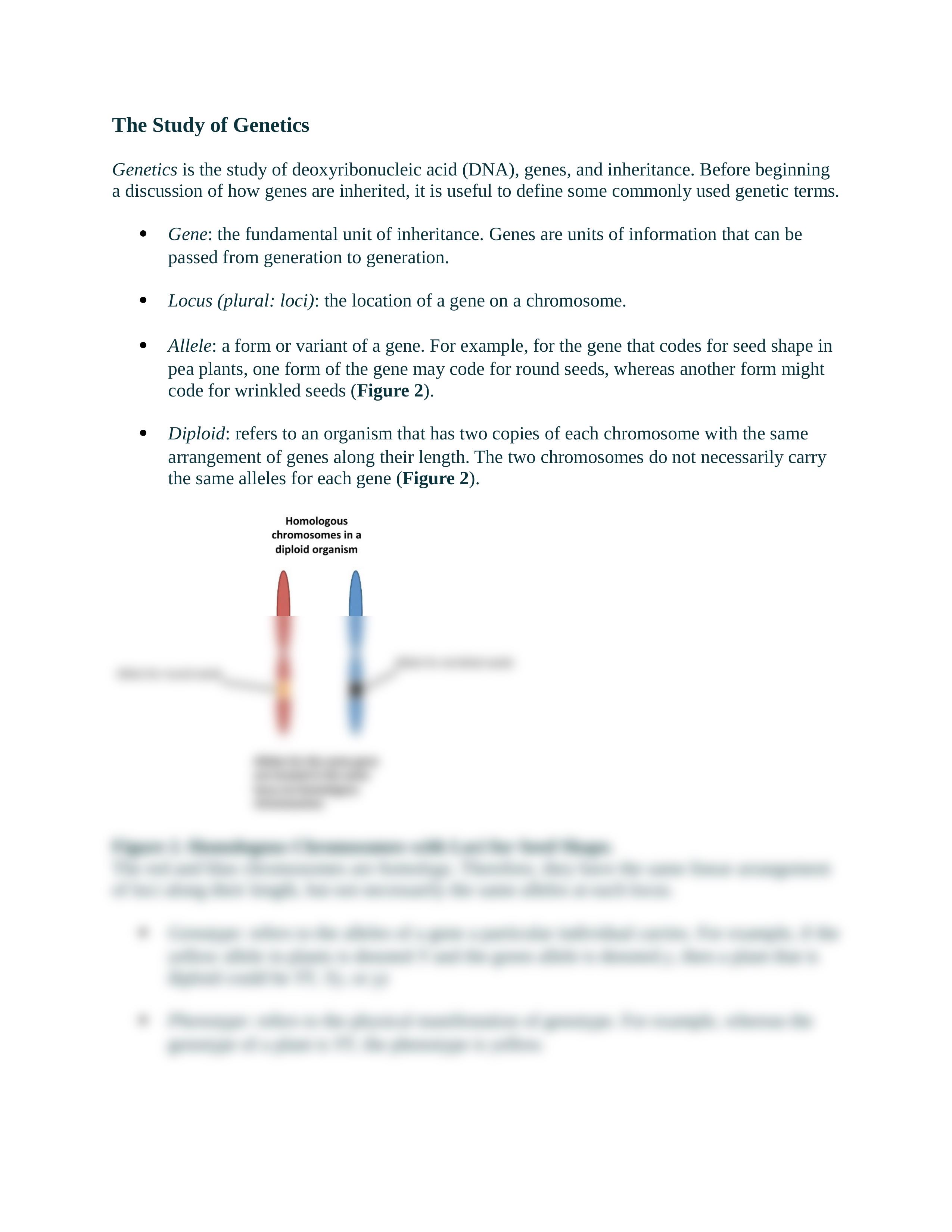 genetics of corn.docx_dkkp5zmji1g_page2