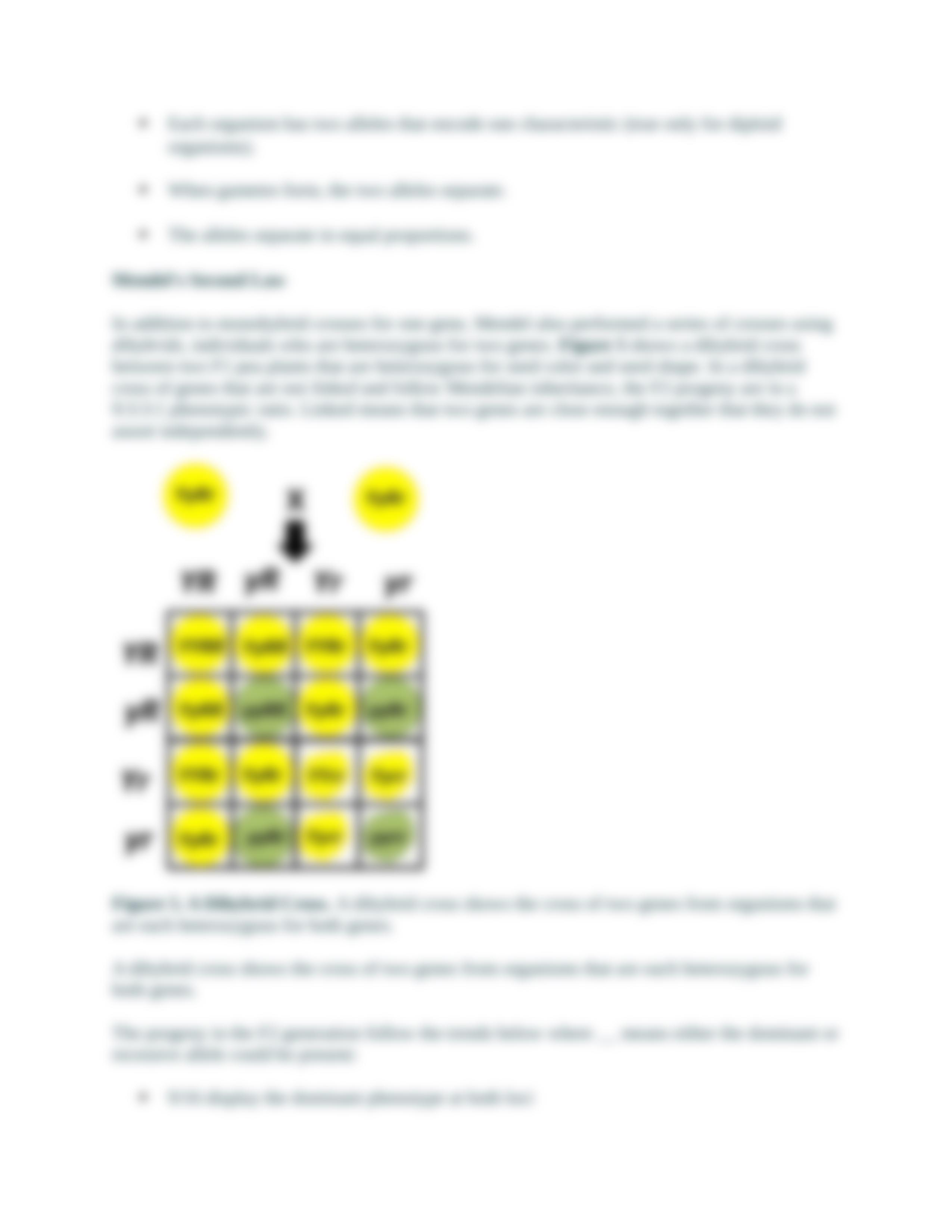 genetics of corn.docx_dkkp5zmji1g_page5