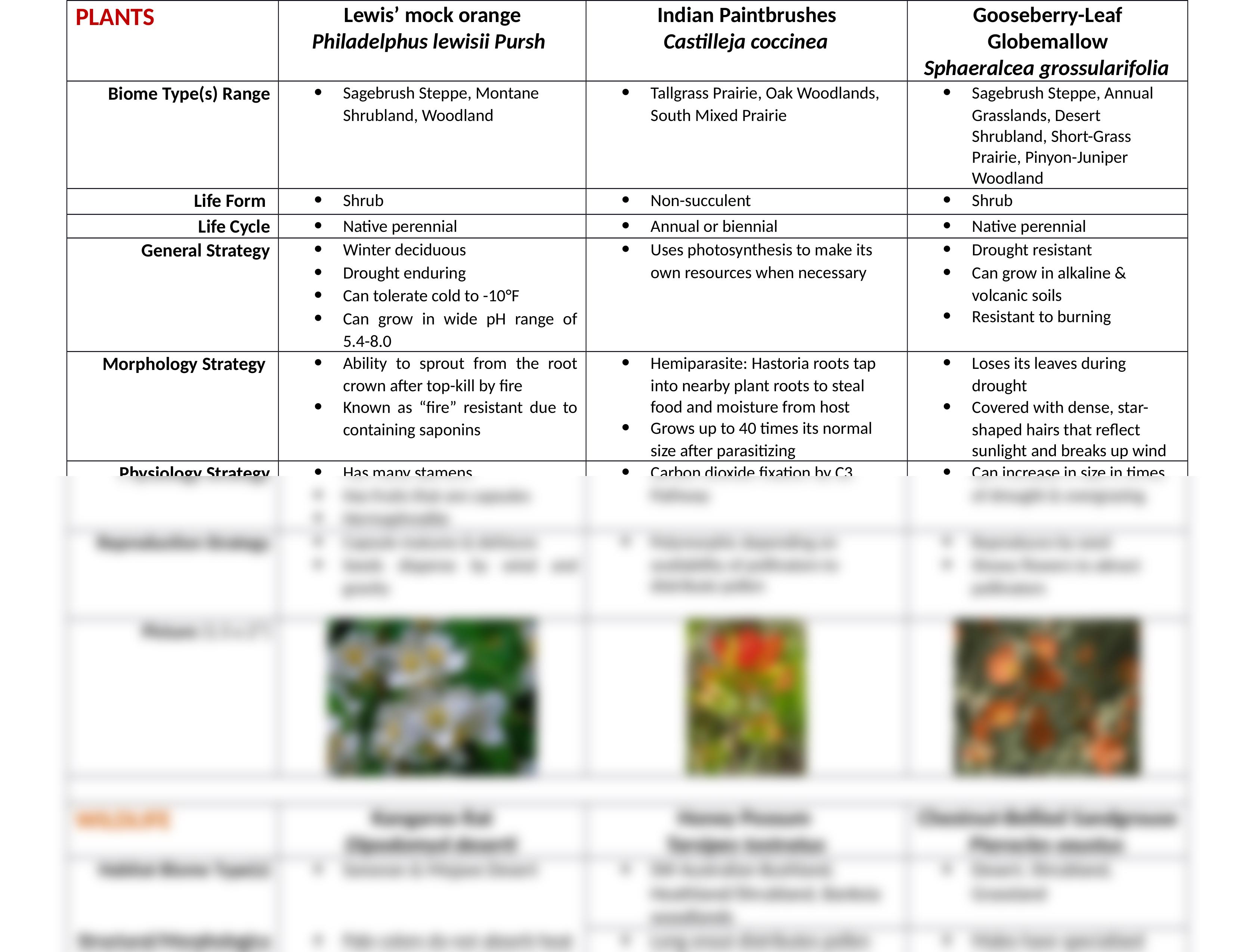 Assignment #3 Plant and Animal Adaptations-1.docx_dkn0tue91xb_page2