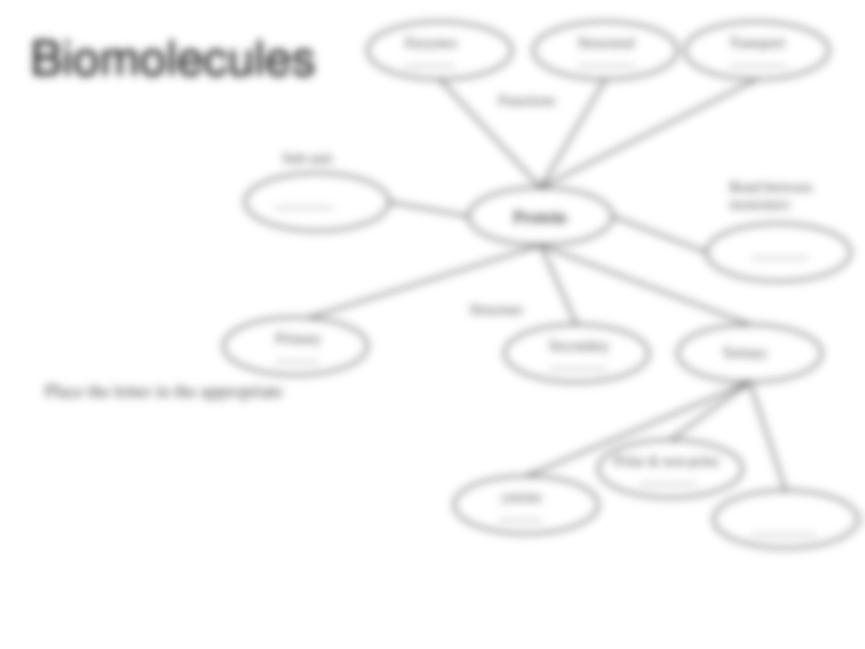 concept map 1_dknidj77hhb_page4