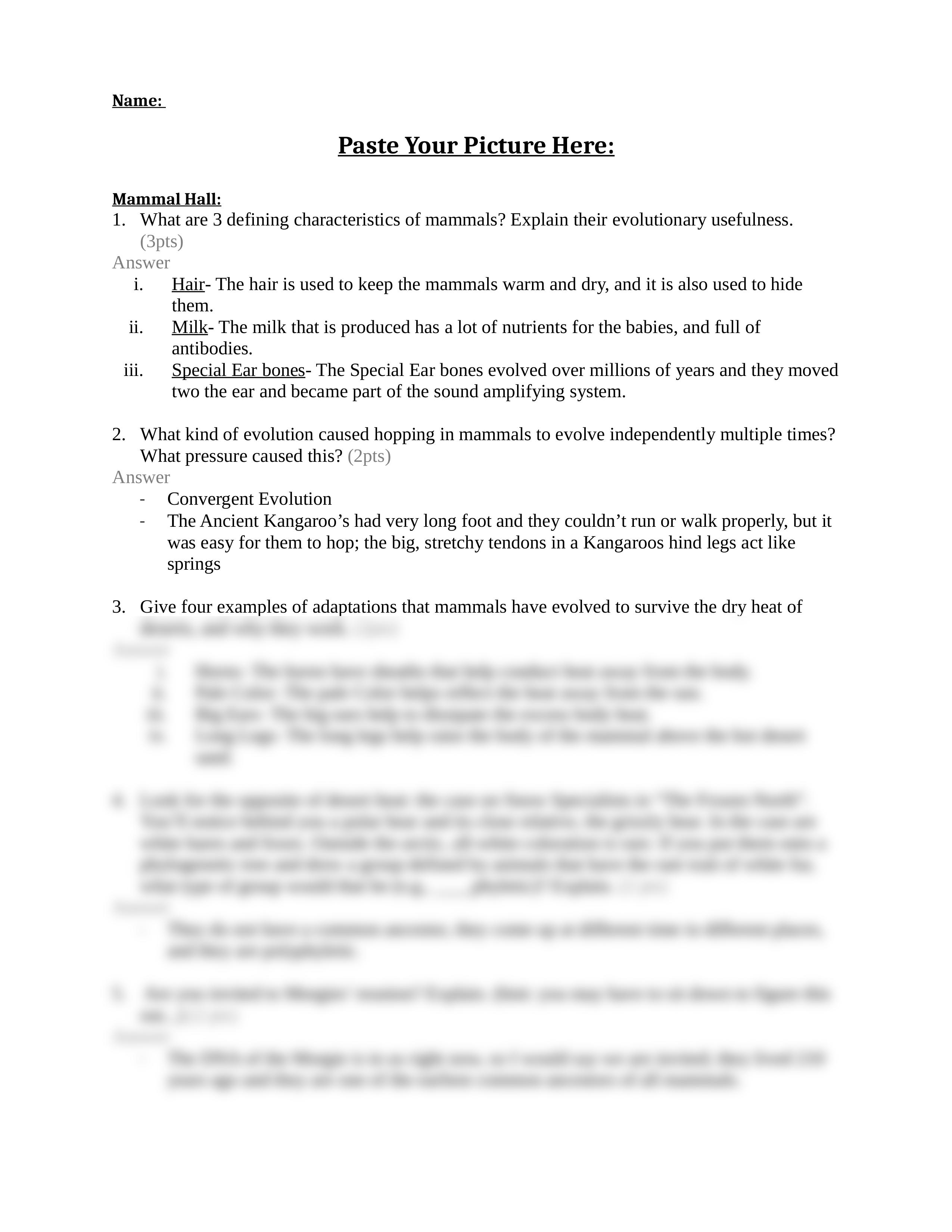 Museum Assignment F15 Answered_dkrvmtlnnn5_page2