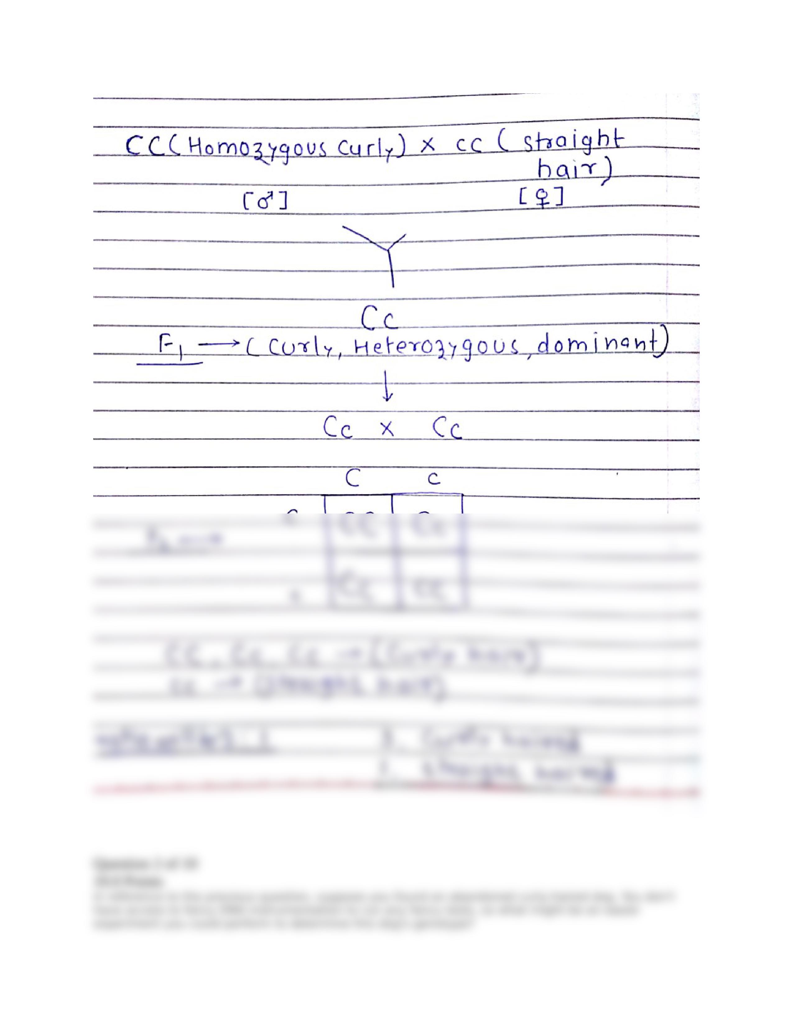 Homework 4.docx_dkzx05wwu3y_page2