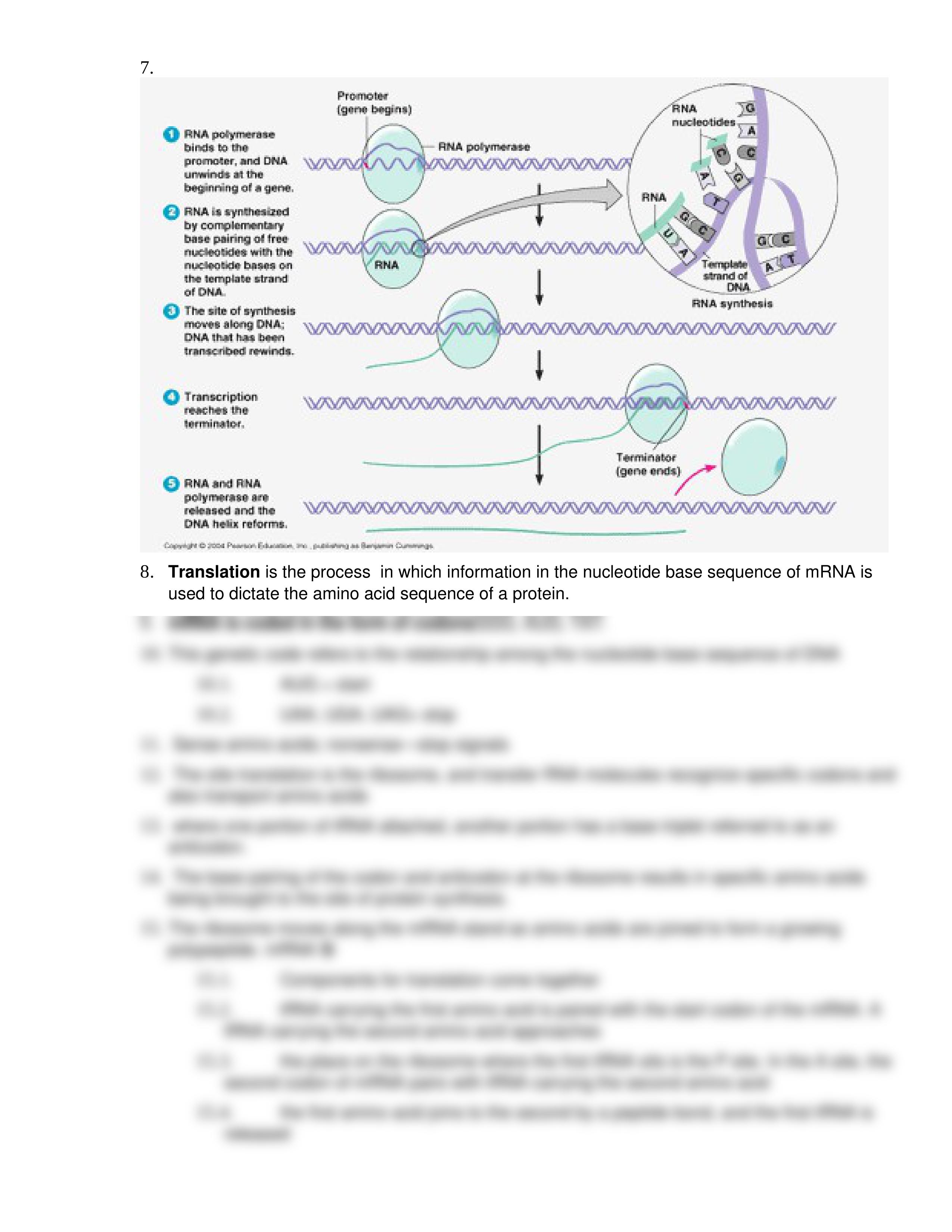 final review guide_dl3mhclrt3o_page2