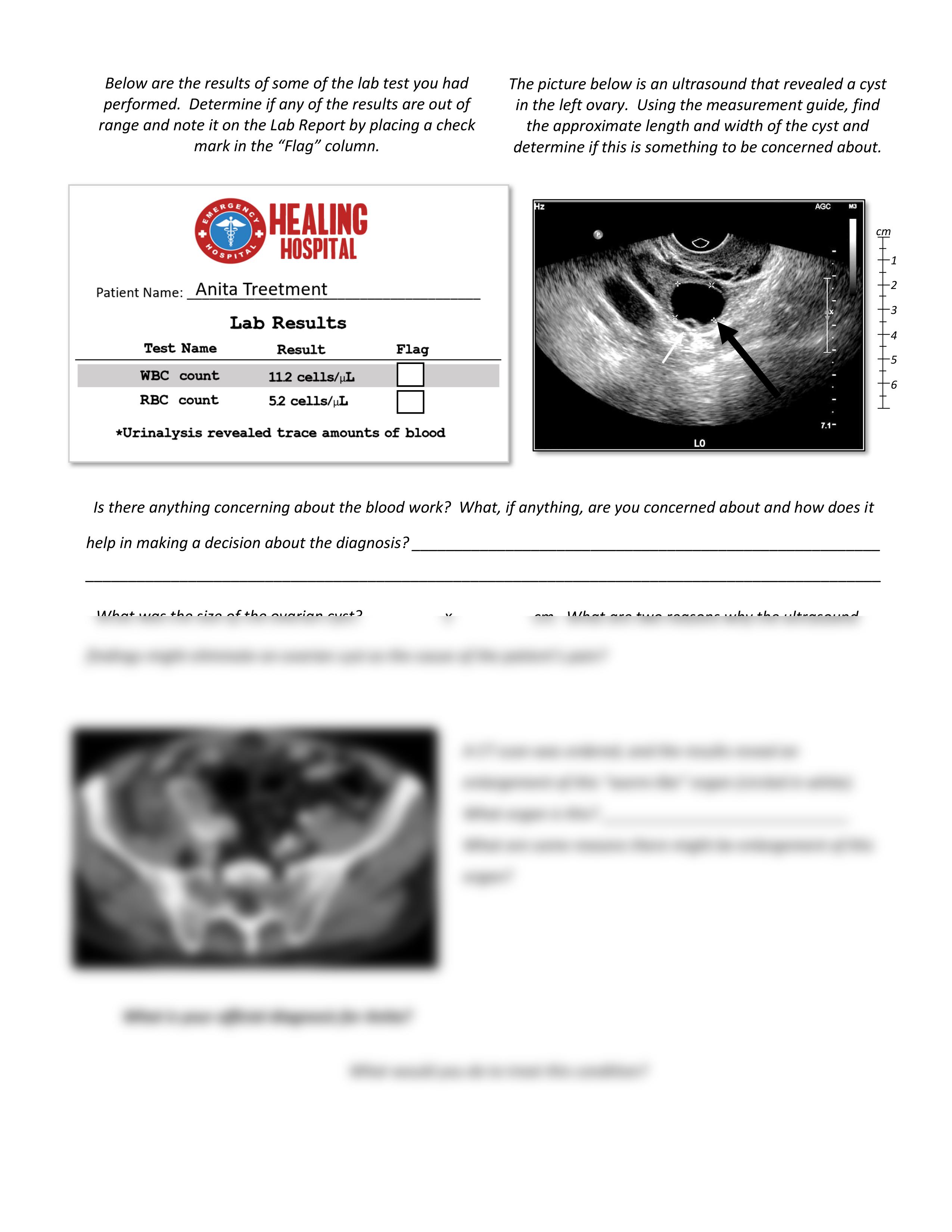 Crack_the_Case_STUDENT_FILLABLE_PDF.pdf_dl5vo0xkei1_page2