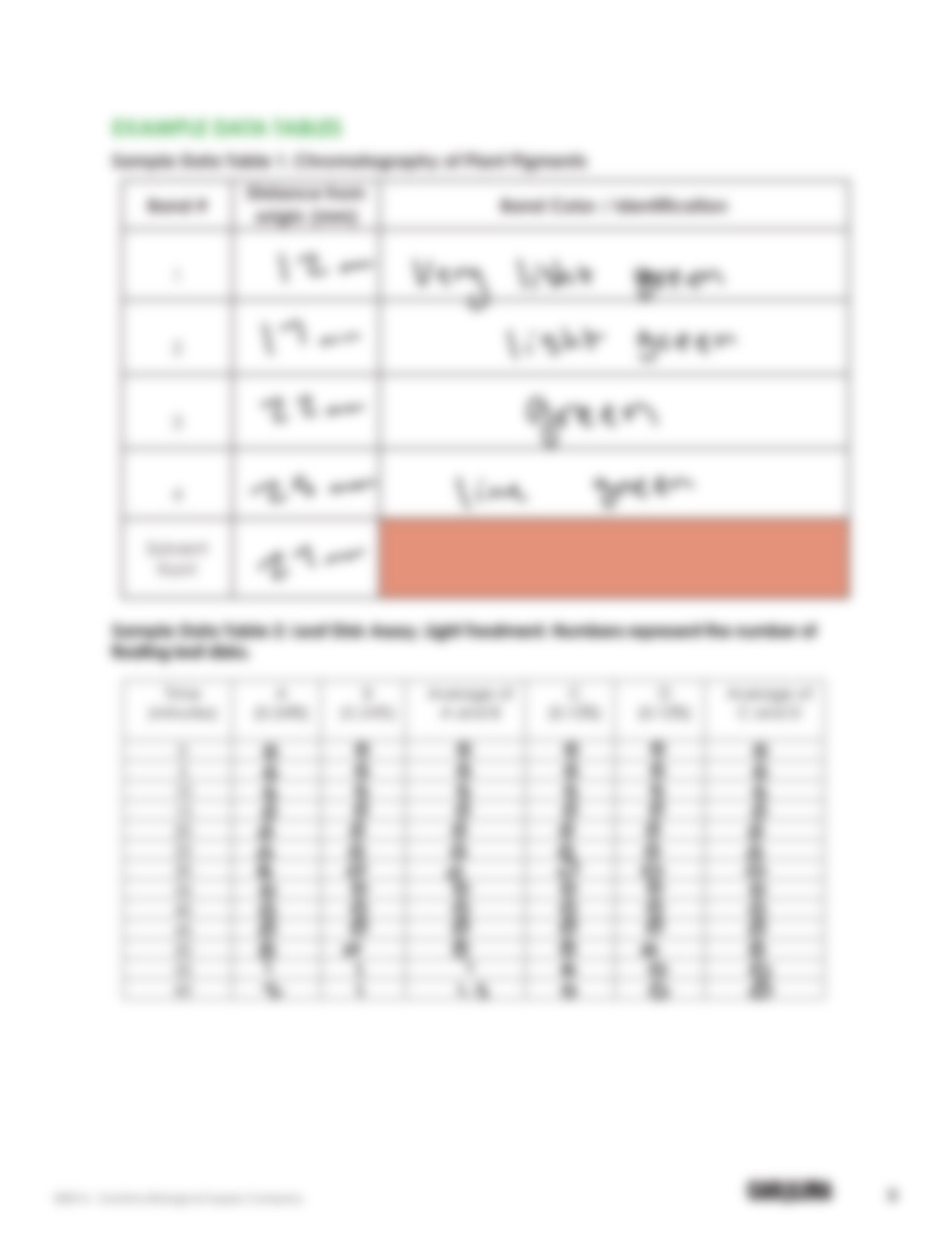 Photosynthesis Lab completepdf.pdf_dl6762r7phj_page3