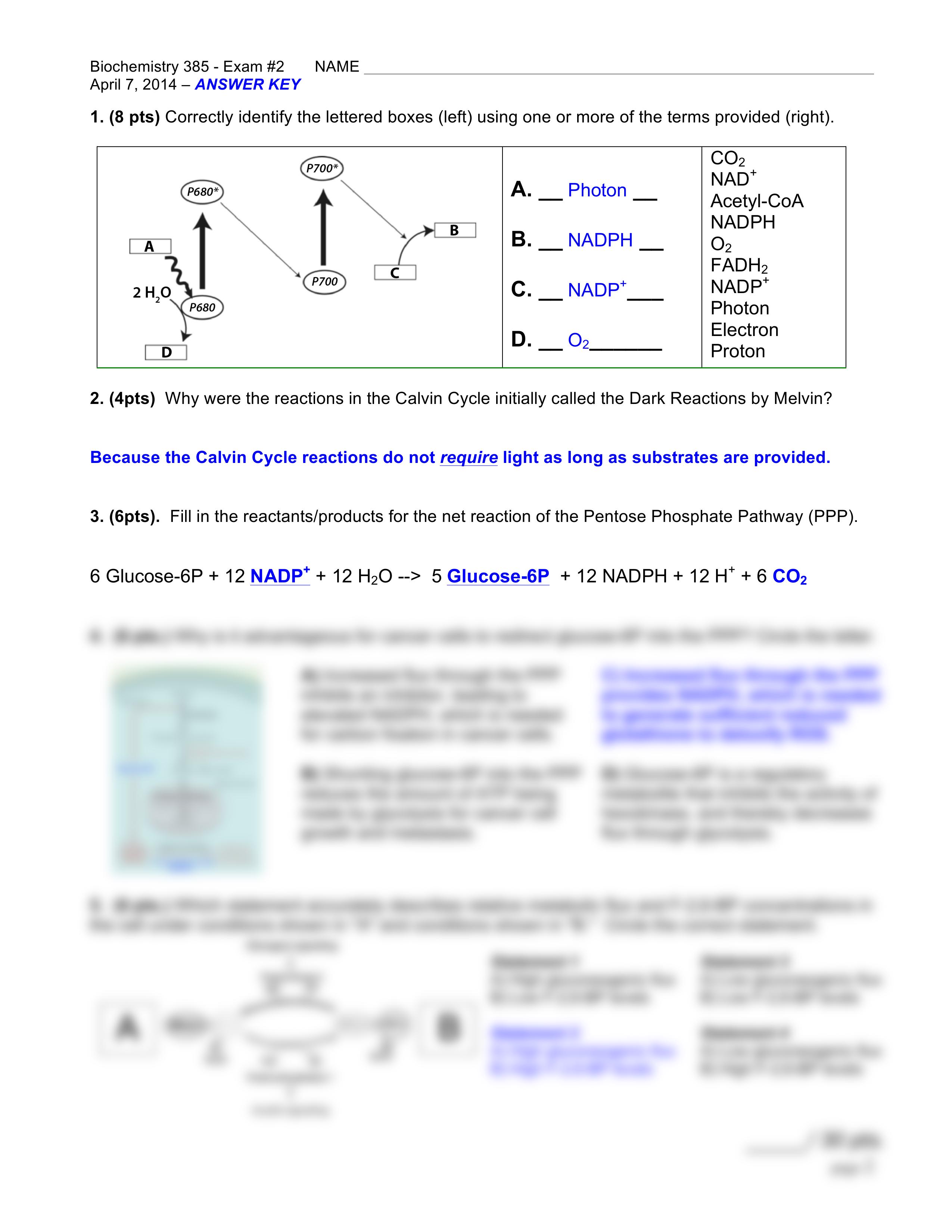 BIOCHEM 385 - EXAM 2 KEY_dl750z9v7i5_page2