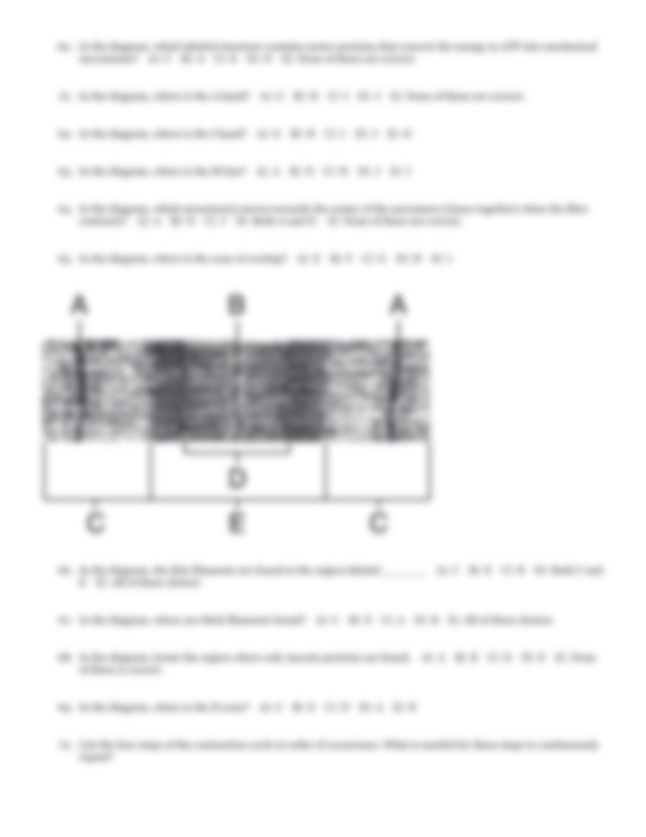 QB Muscle tissue-3_dl7rvdwdf0b_page4