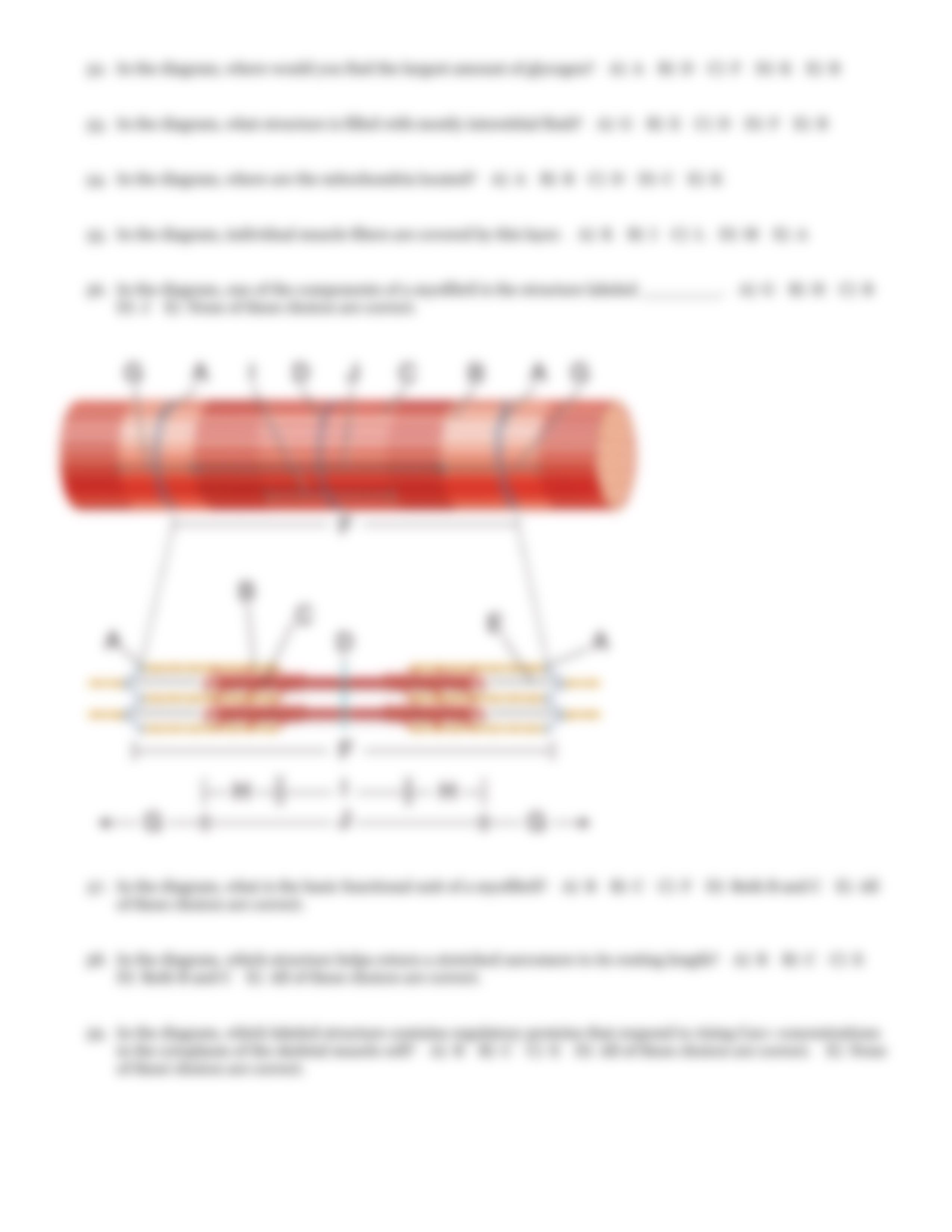 QB Muscle tissue-3_dl7rvdwdf0b_page3