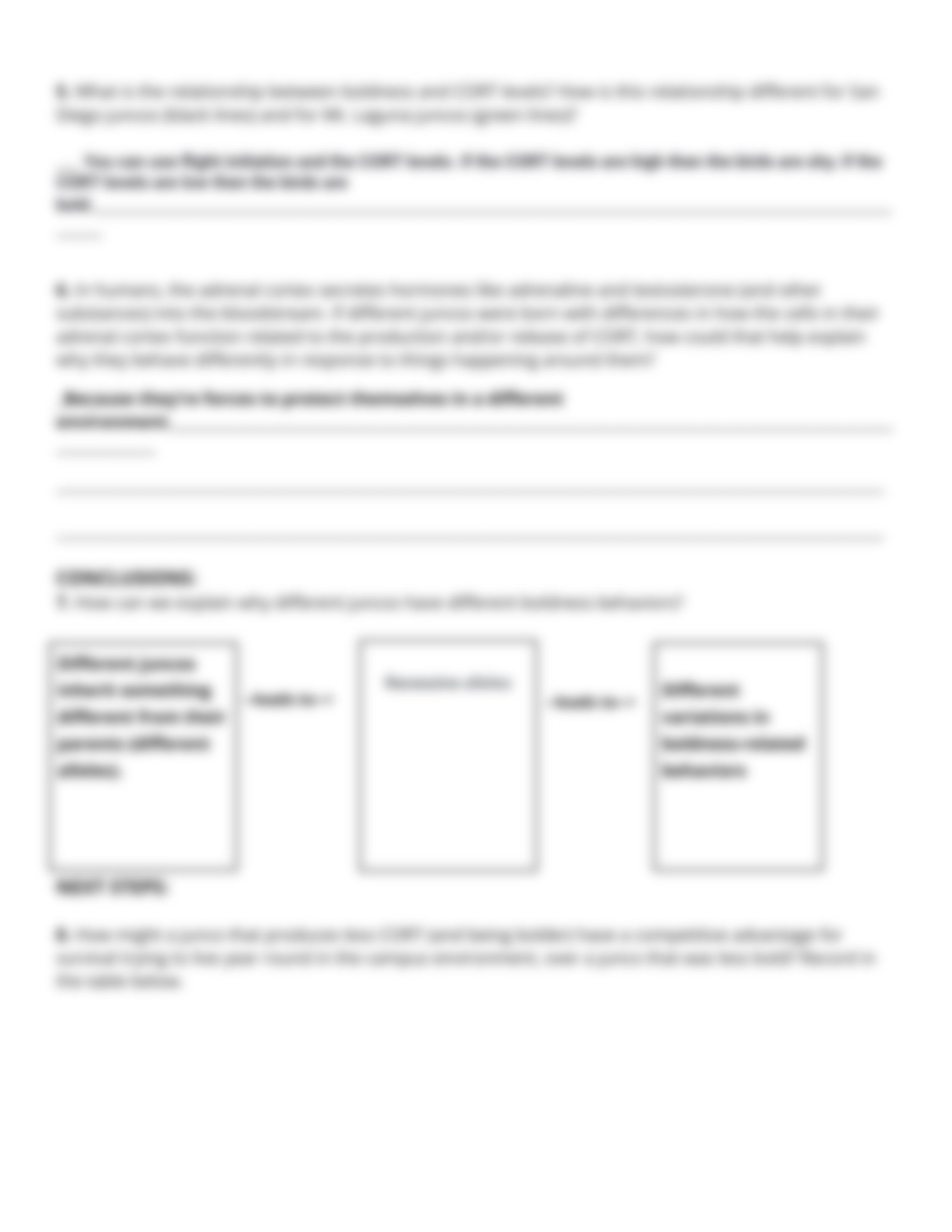 Shawn_Singletary_-_Student_Activity_Sheet_Lesson_2122_dlbb115r2m9_page4