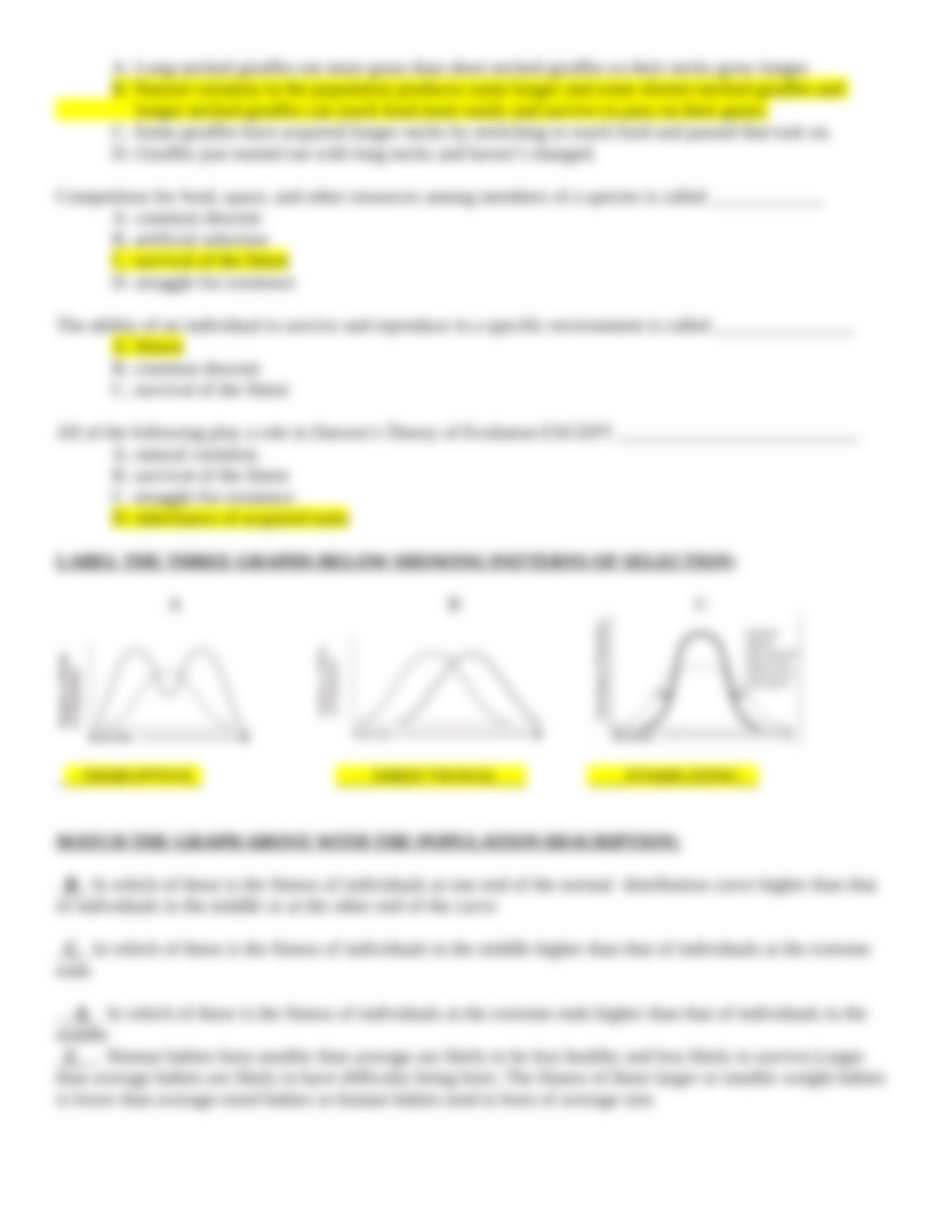 Evolution Study Guide.doc_dlbt1nv03cz_page3