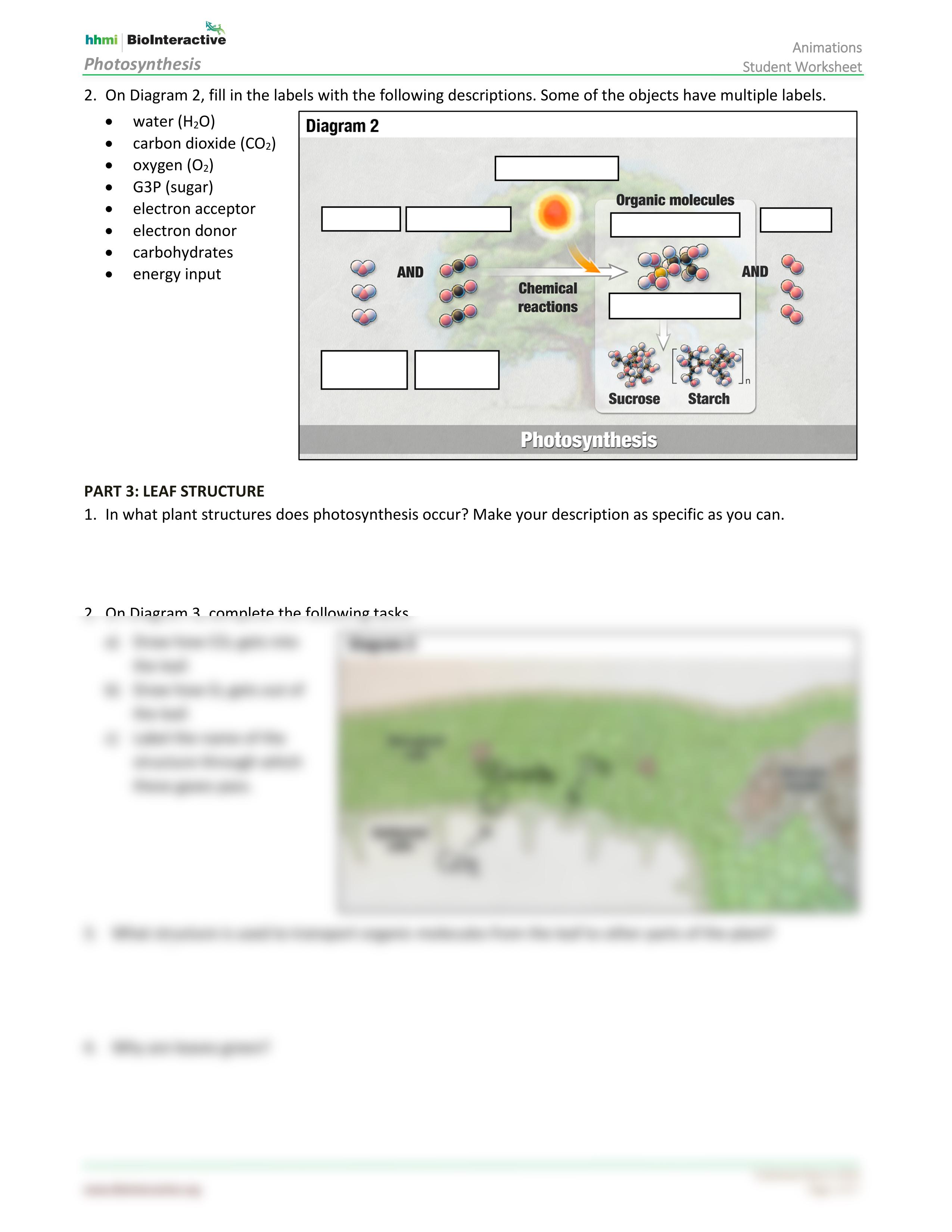 worksheet.pdf_dldjvpq7qxi_page2