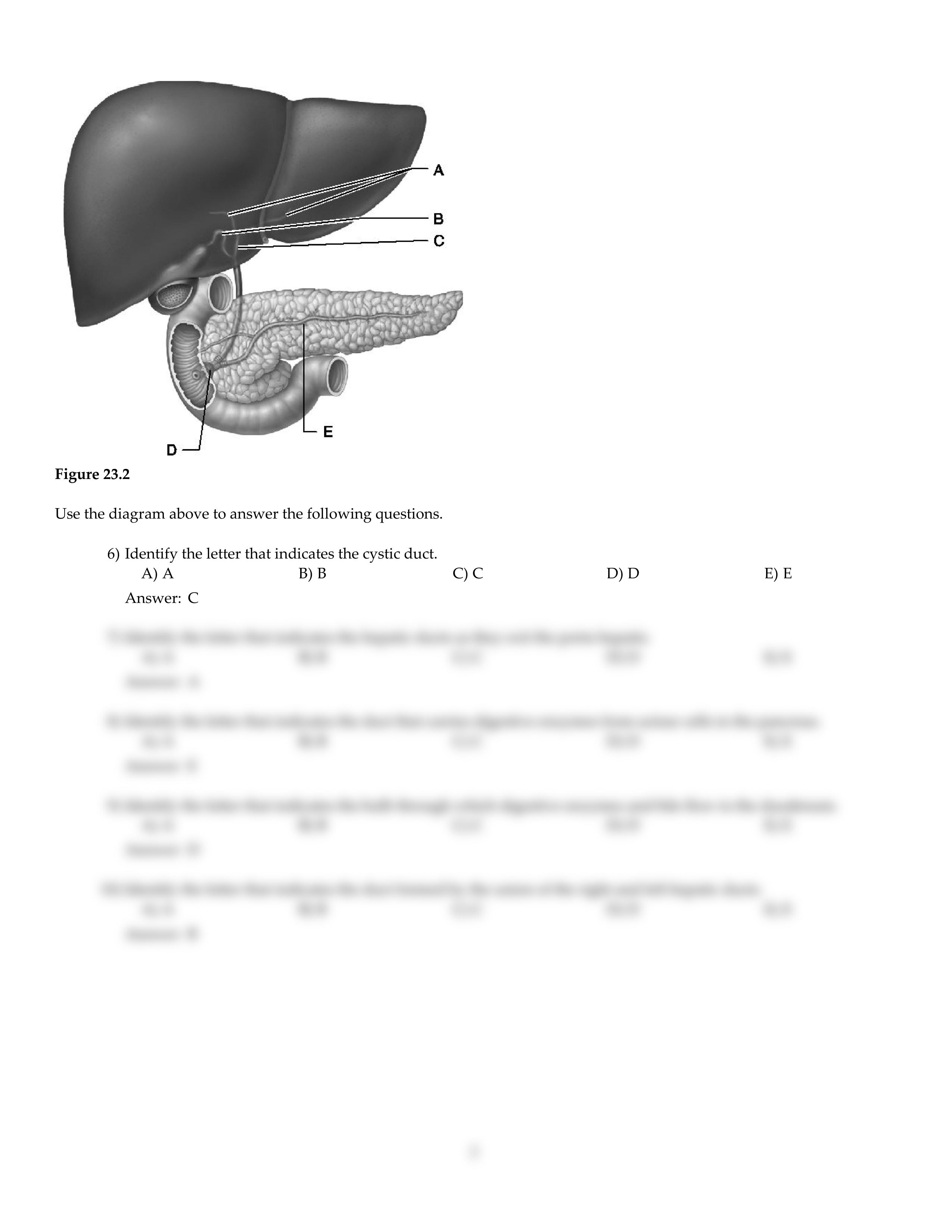 CH23.pdf_dldvpzrbnsh_page2