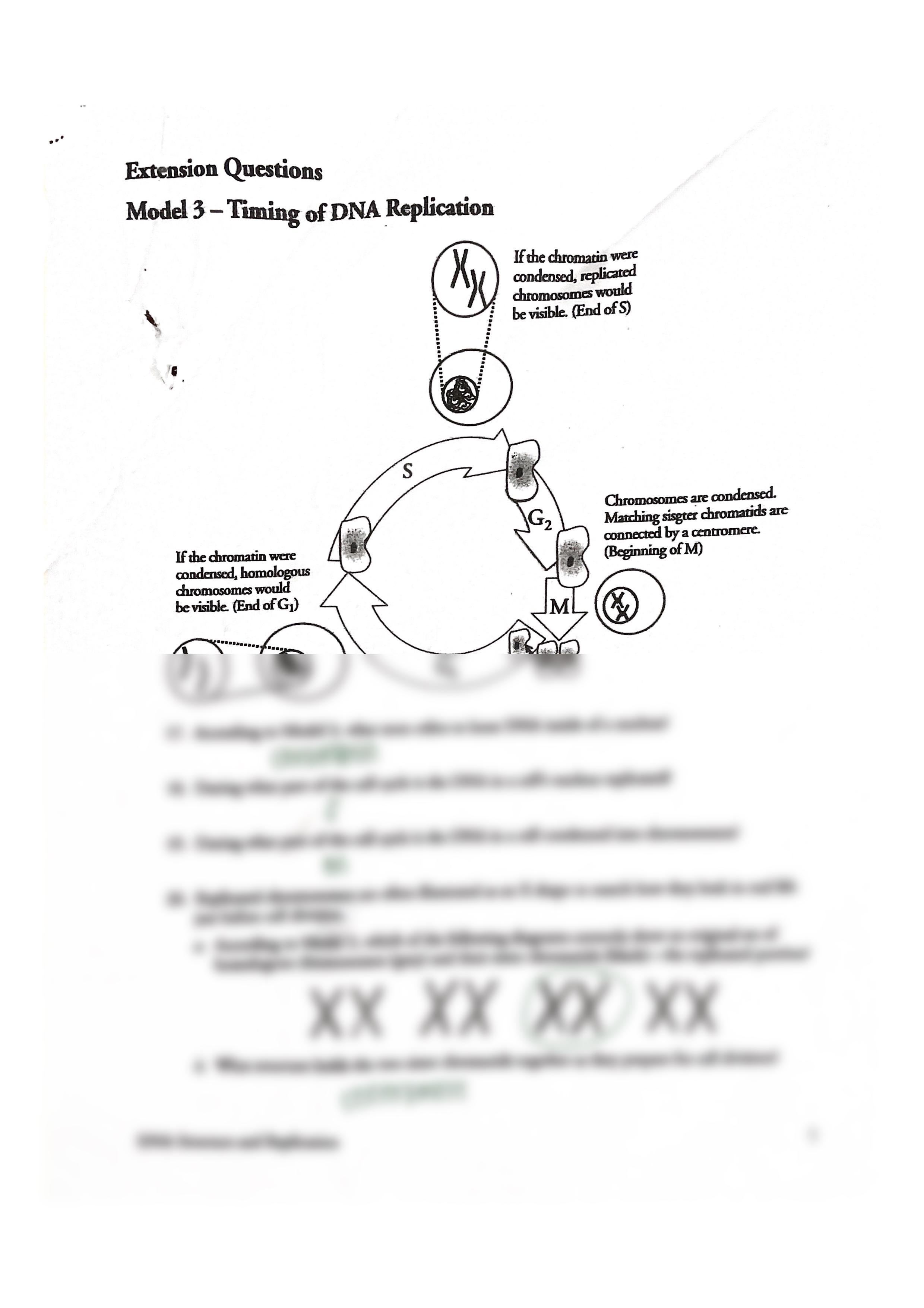 2021-02-24_182108_4.jpg_dle65ltrp5j_page1