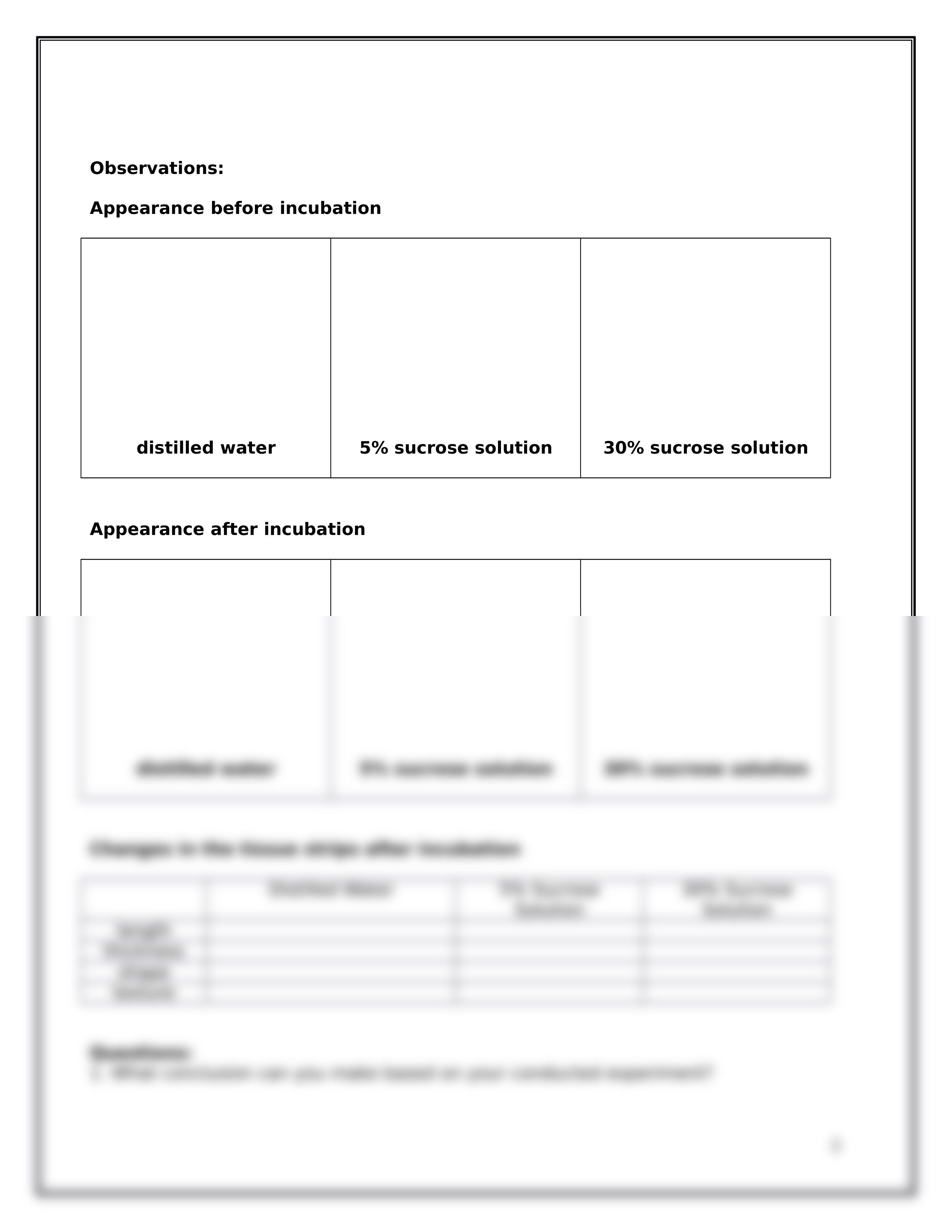 LAB._ACTIVITY_-_Water_Potential_and_Osmosis.docx_dlffcsgzvdi_page2