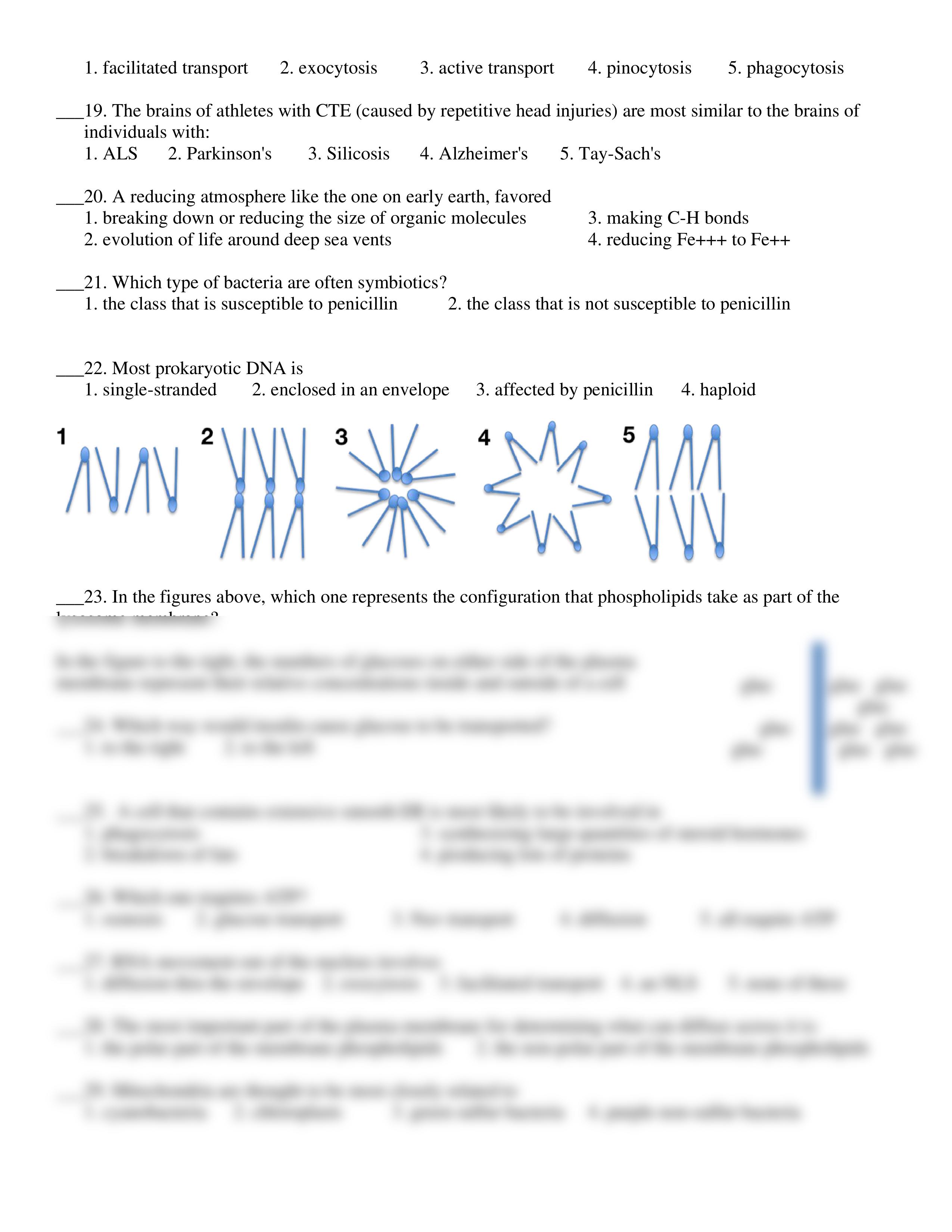 Practice Exam 1_dli2u1szvuw_page2