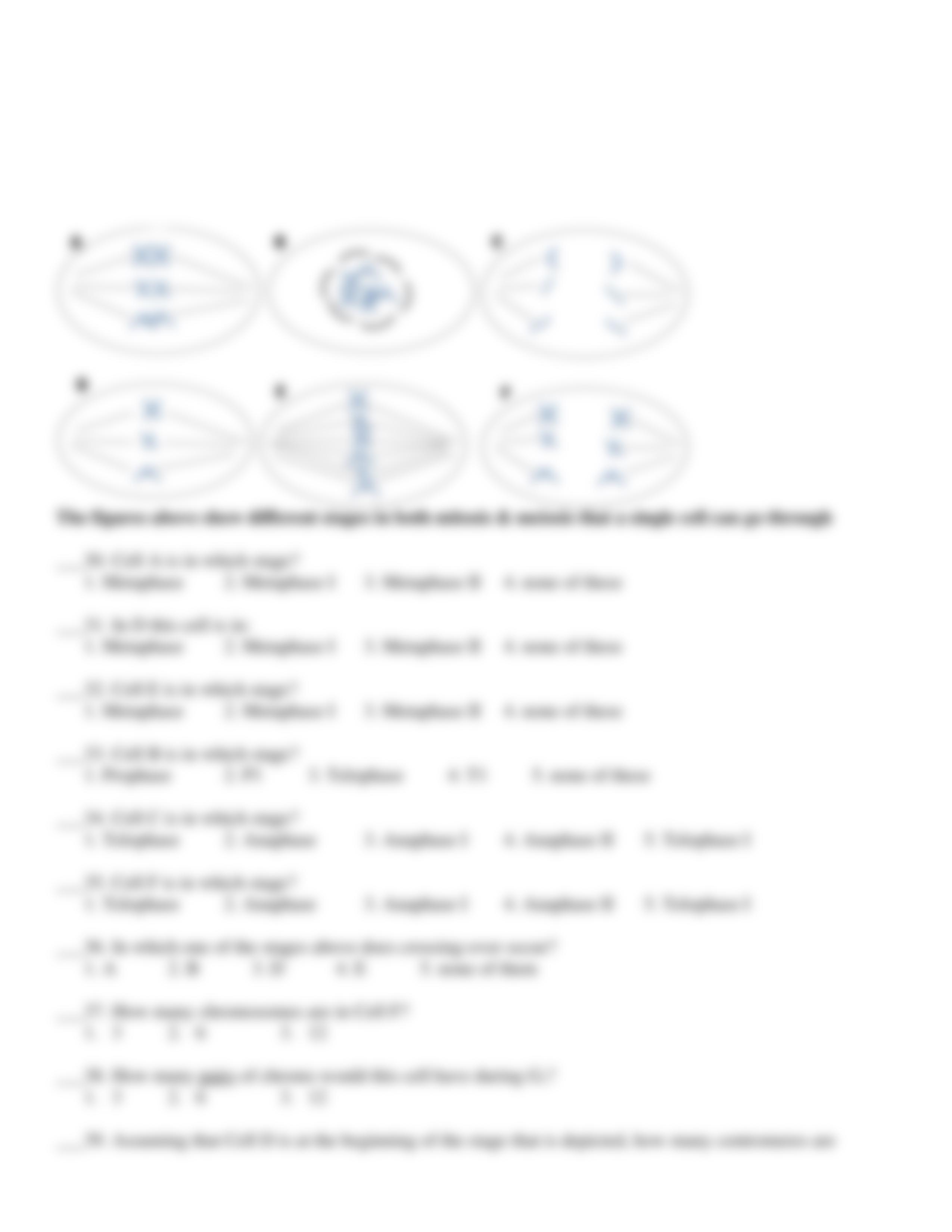 Practice Exam 1_dli2u1szvuw_page3