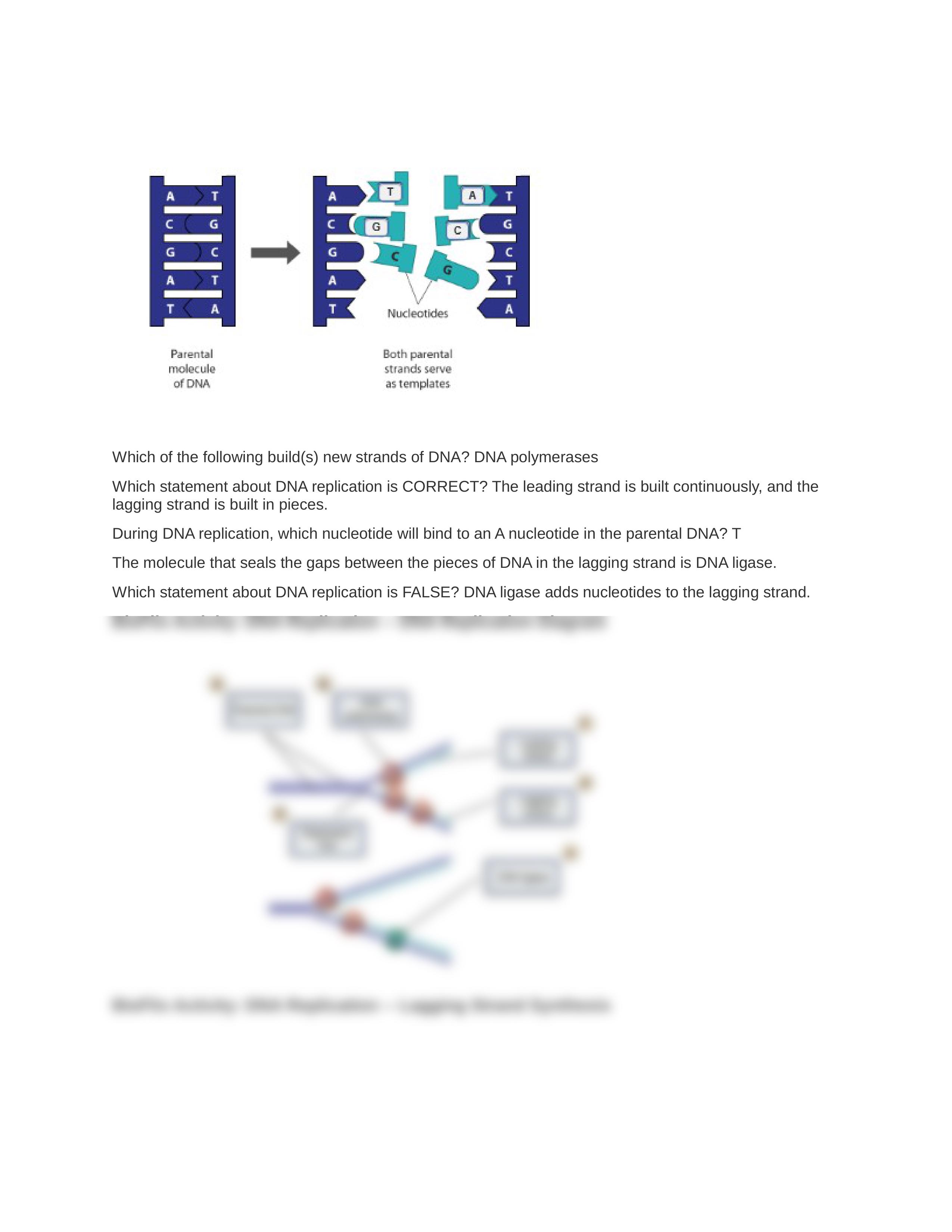 Chapter 10.docx_dlibal3cn2b_page2