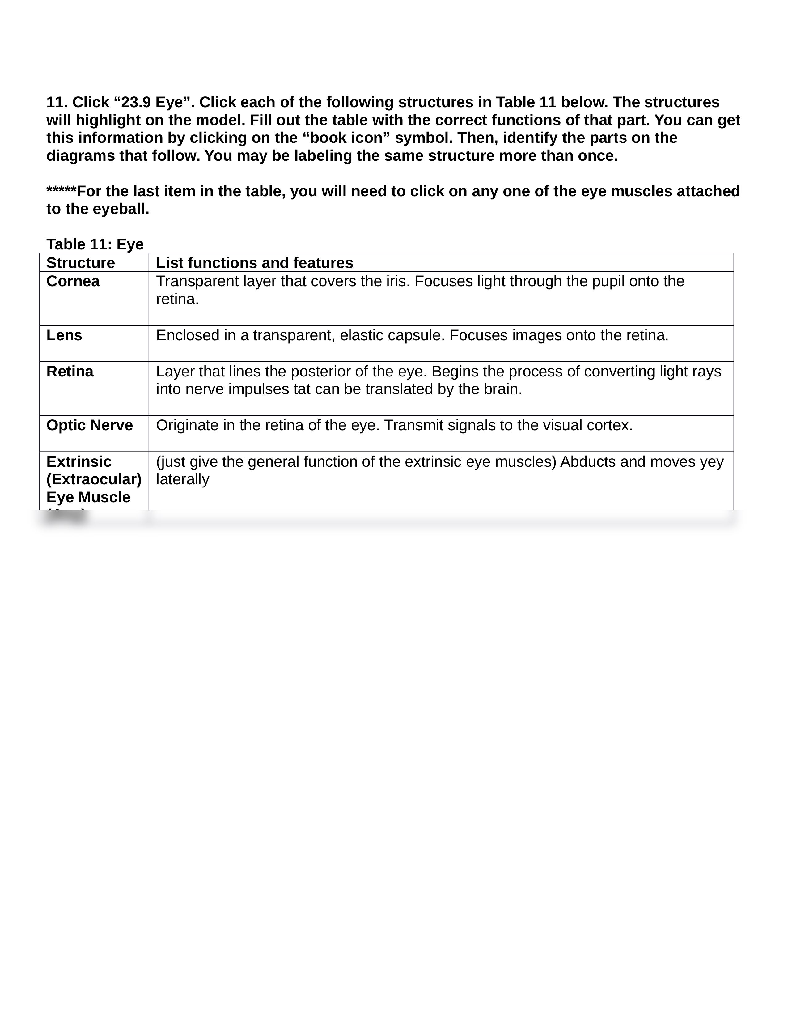 BIO 210 Lab 9 Part 1 The Eye and Ear Anatomy SP2021 (AutoRecovered).docx_dlily5dfal4_page2