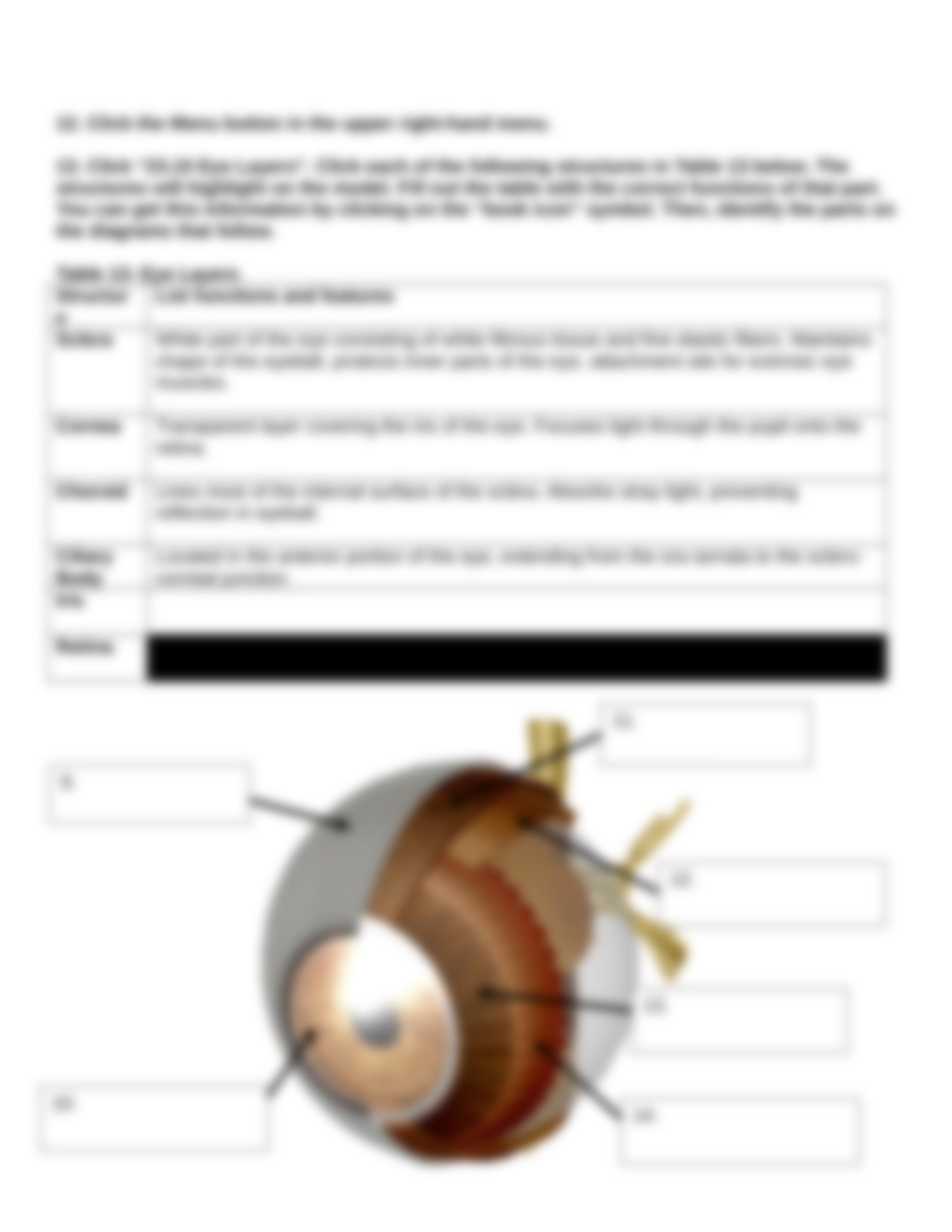 BIO 210 Lab 9 Part 1 The Eye and Ear Anatomy SP2021 (AutoRecovered).docx_dlily5dfal4_page5