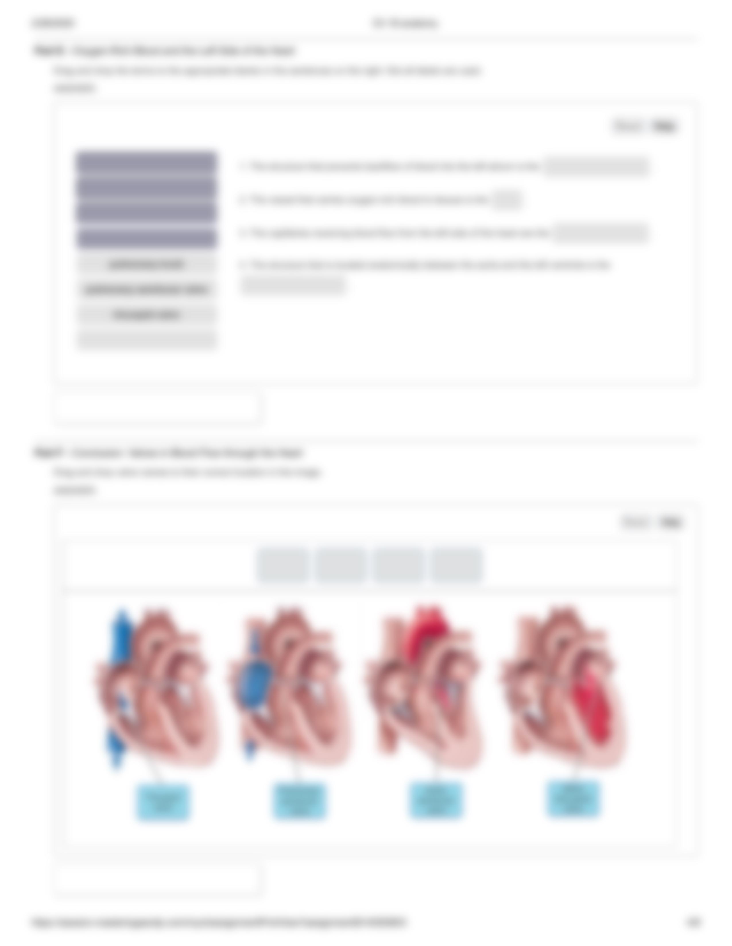 Ch 18 anatomy.pdf_dlndn08cn2s_page4