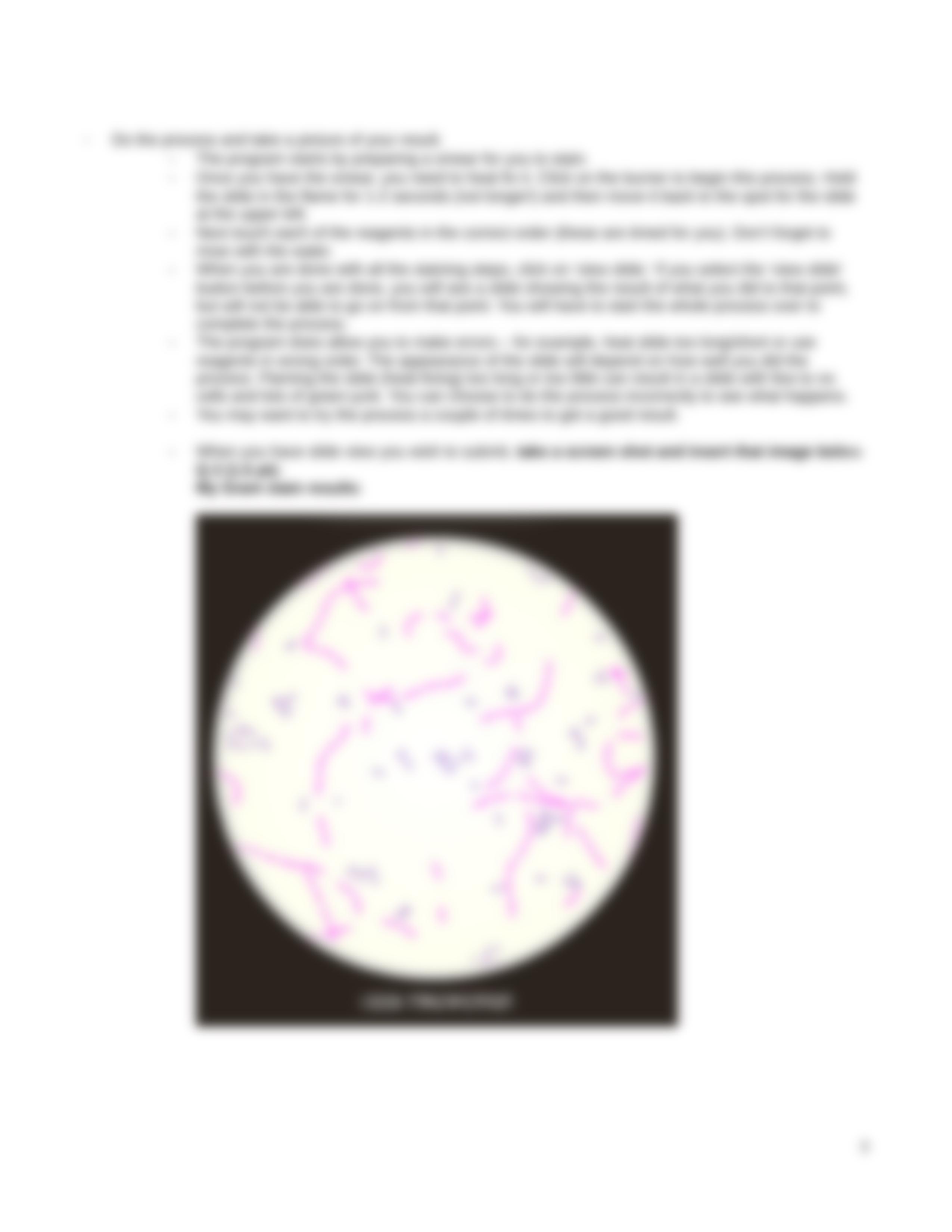 BIO 200 Lab Assignment 3 Gram stain fall 2020 (2).docx_dlr3nssjfq5_page3