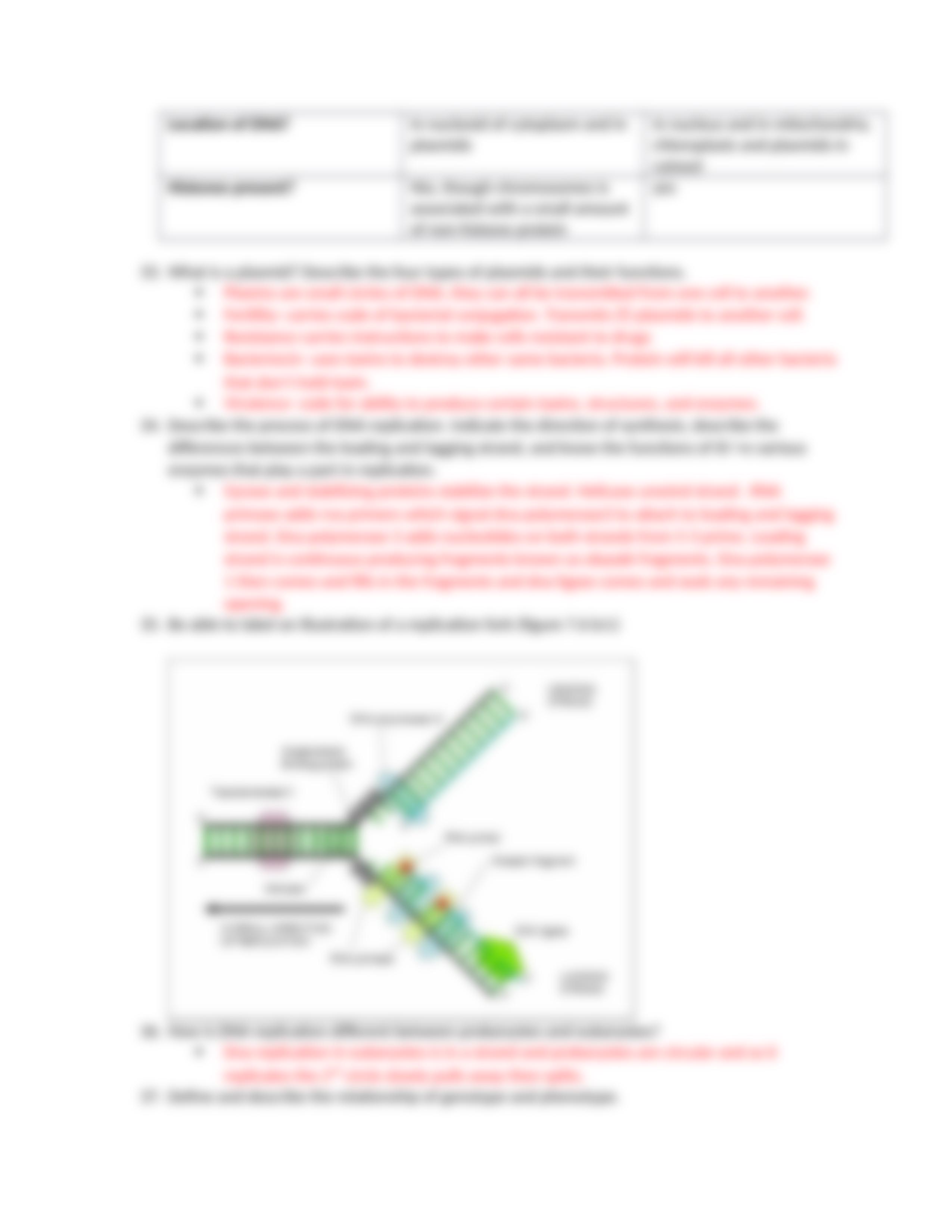 Microbiology Exam 2 (CH 5-7, 9-10)_dlw1okjg262_page5