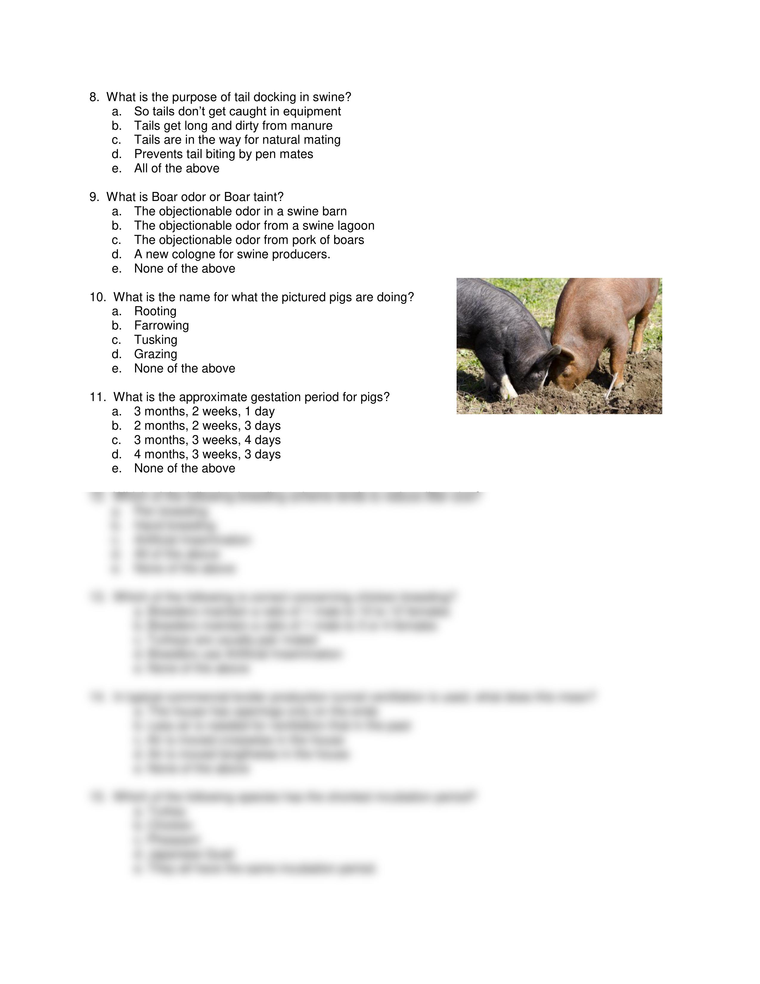 Animal Science Midterm 2_dm9m1eajp8s_page2