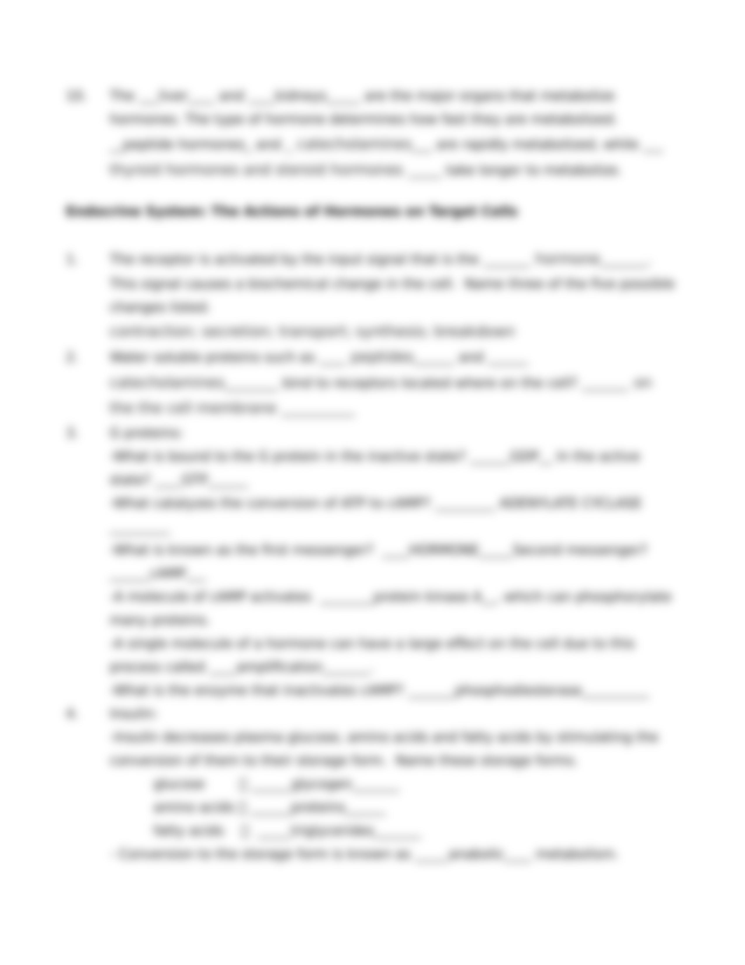 IP Exercise Sheet_dmhjyjykp3l_page4