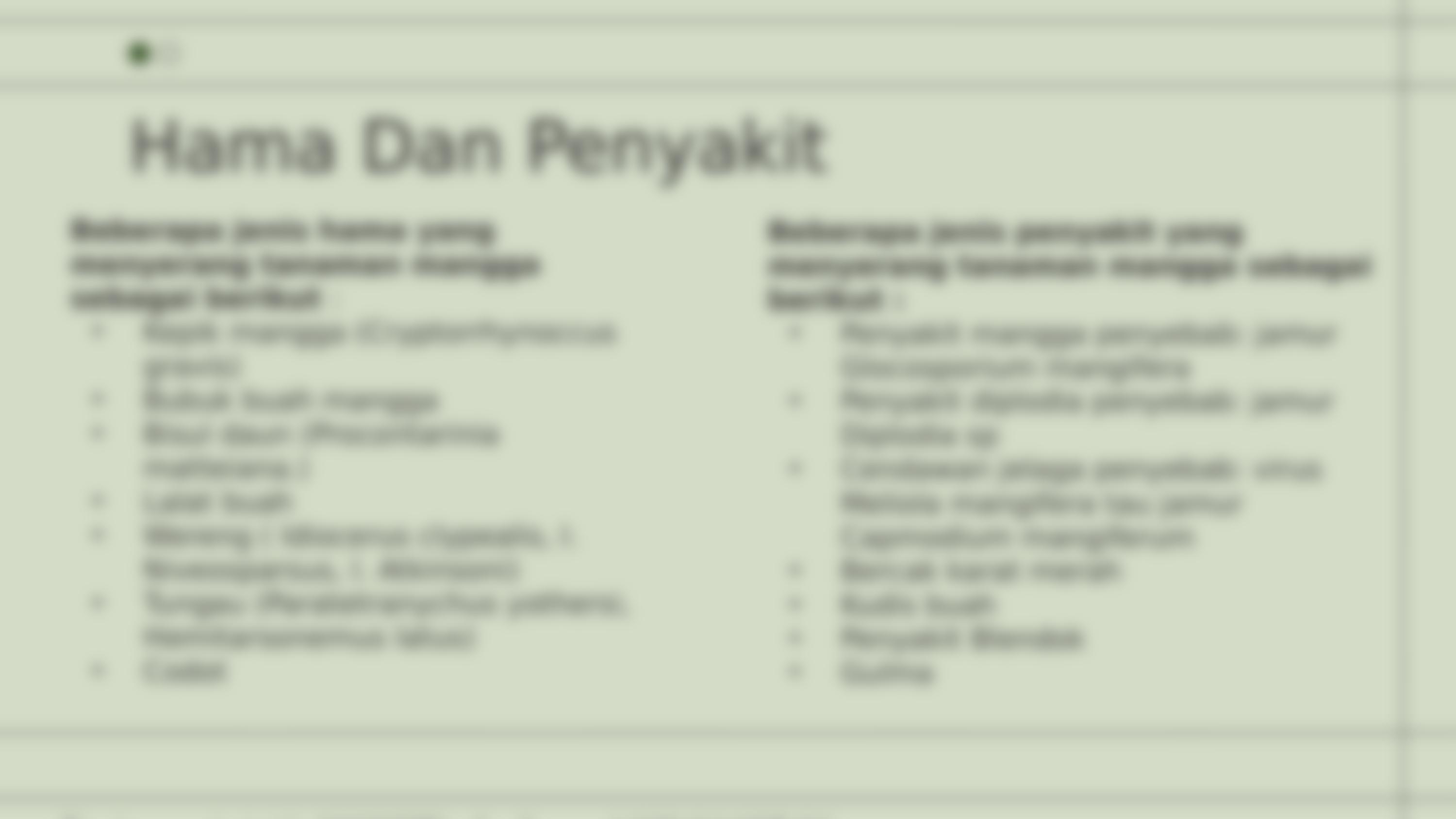 PPT TEKNIK BUDIDAYA MANGGA M.ABDI SUNNI.pptx_dmqc7yii5ue_page4