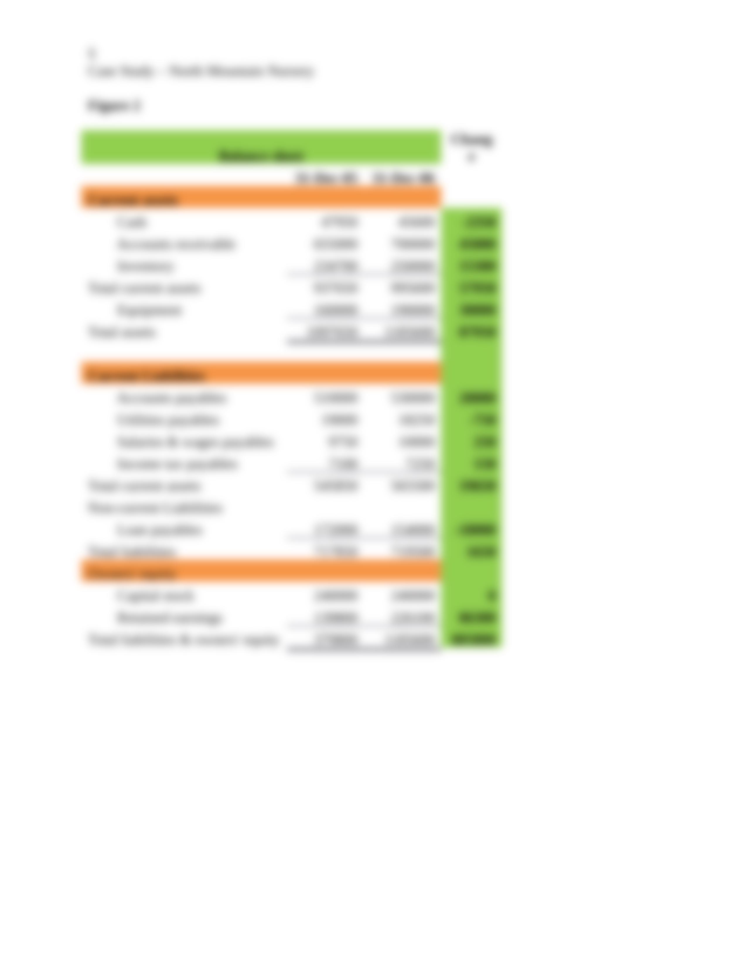 K.Nguyen-CaseStudy-North Mountain Nursery.docx_dmvj1txqkrf_page5