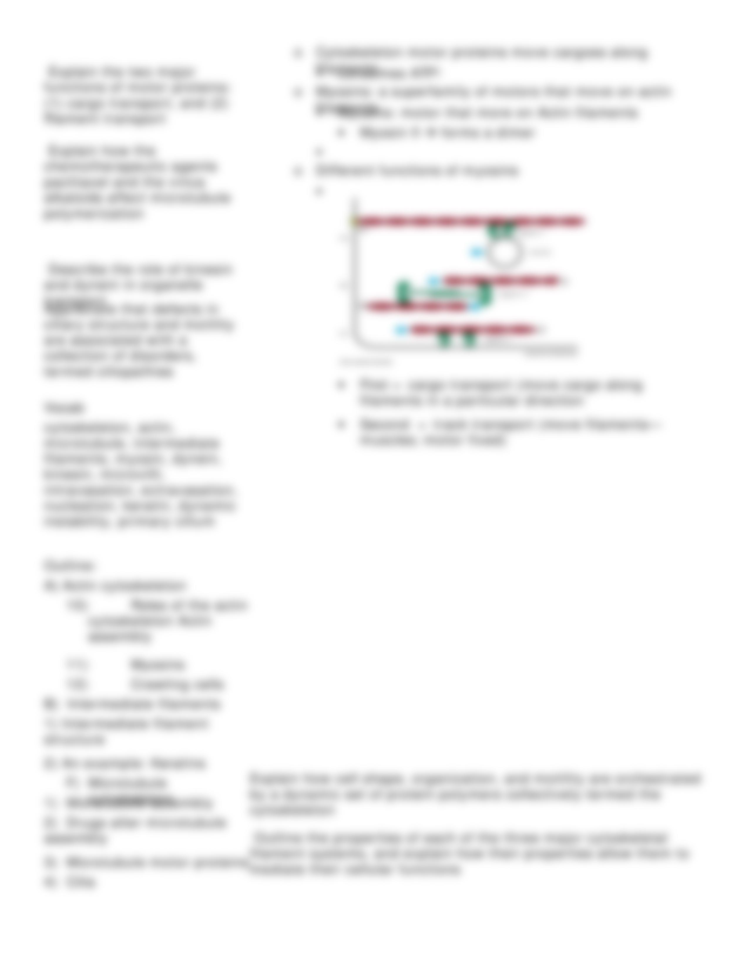 Lecture 24 The Cytoskeleton - Cell Structure and Movement_dmw4szj8gxa_page5