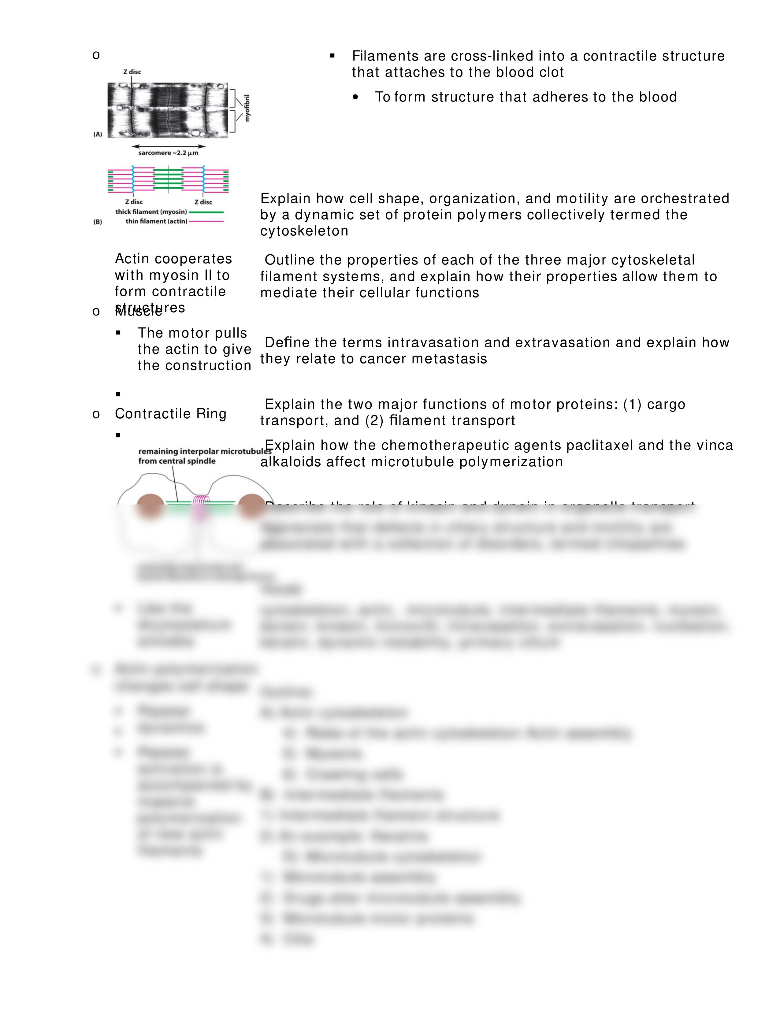 Lecture 24 The Cytoskeleton - Cell Structure and Movement_dmw4szj8gxa_page2