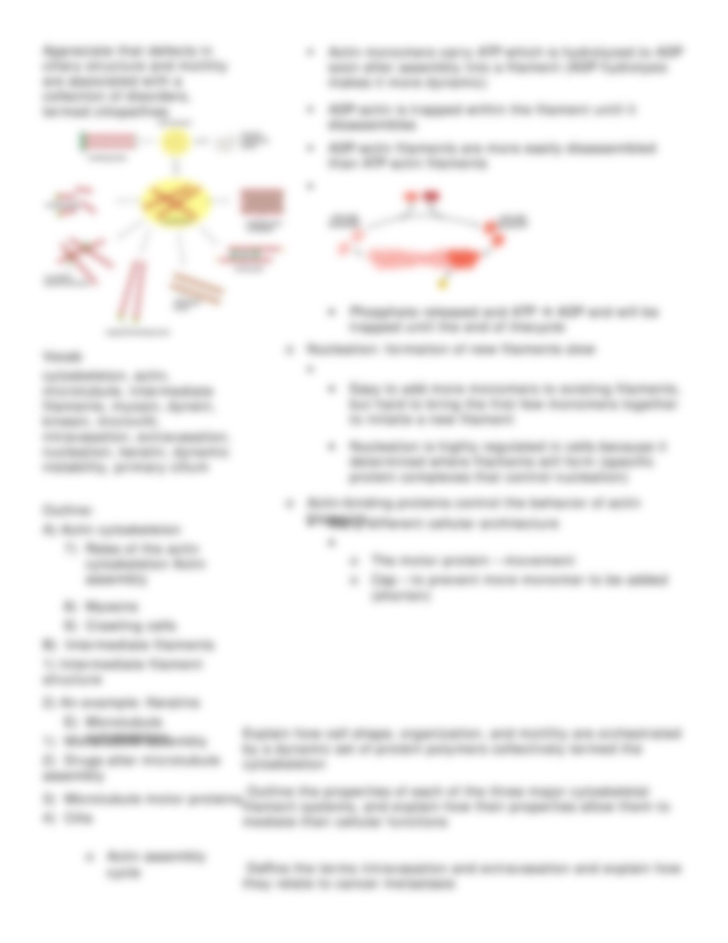 Lecture 24 The Cytoskeleton - Cell Structure and Movement_dmw4szj8gxa_page4