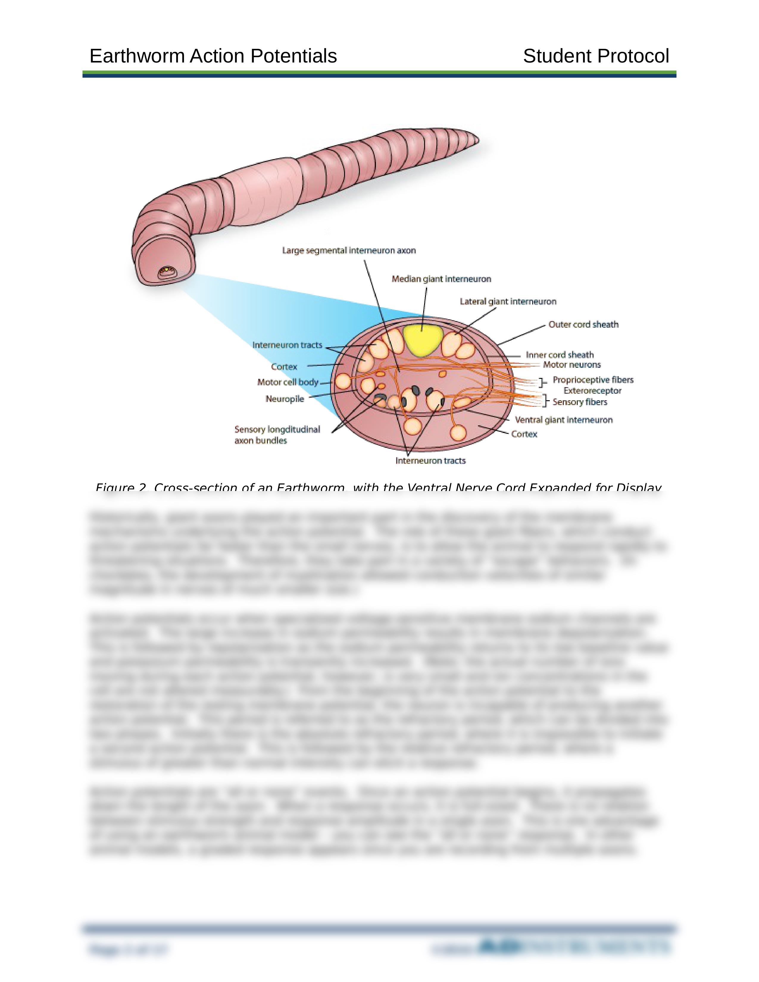 Earthworm AP Student Protocol 1_16_13-3.docx_dmz2yn6rgsn_page2