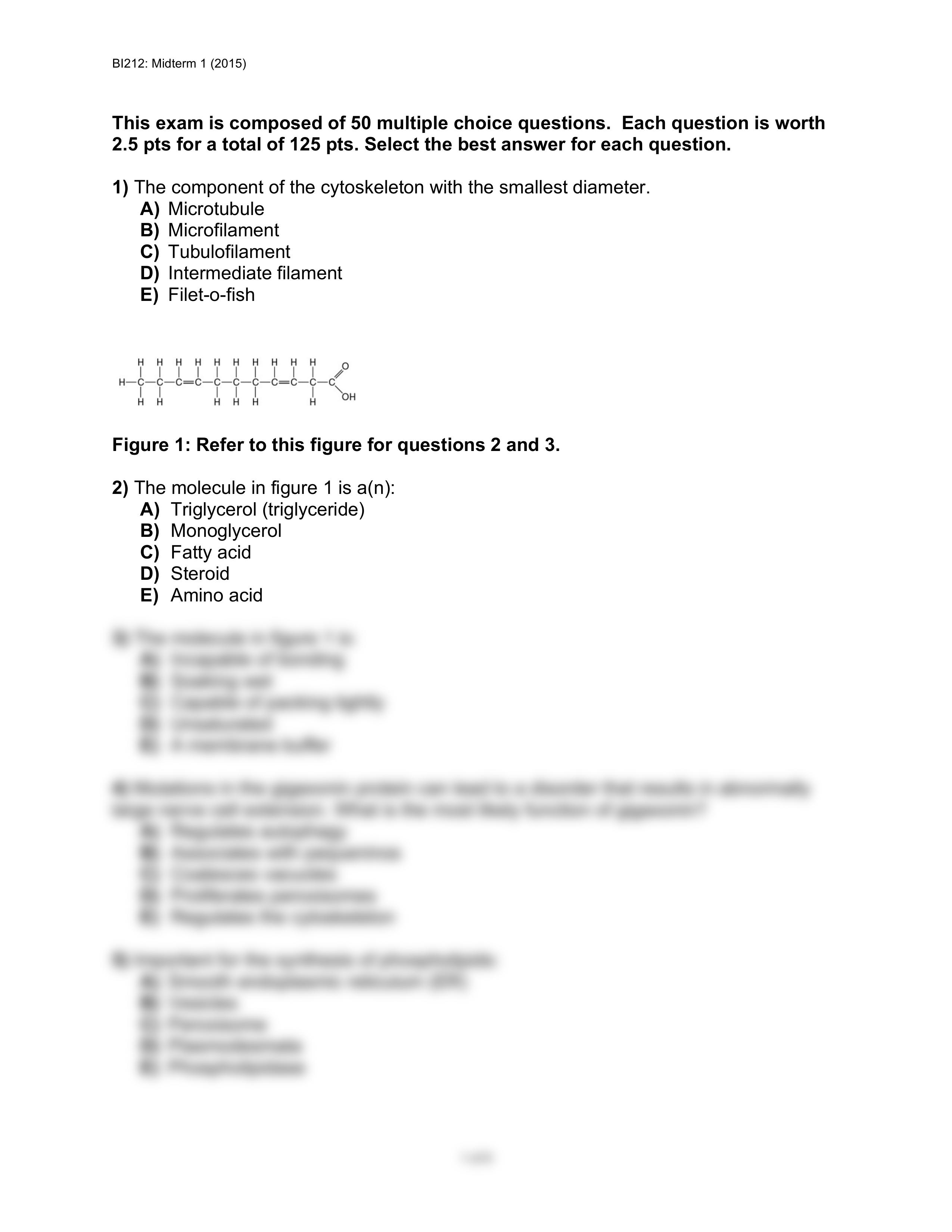 Practice Exam (2015) (1)_dmzq3e1diq4_page2