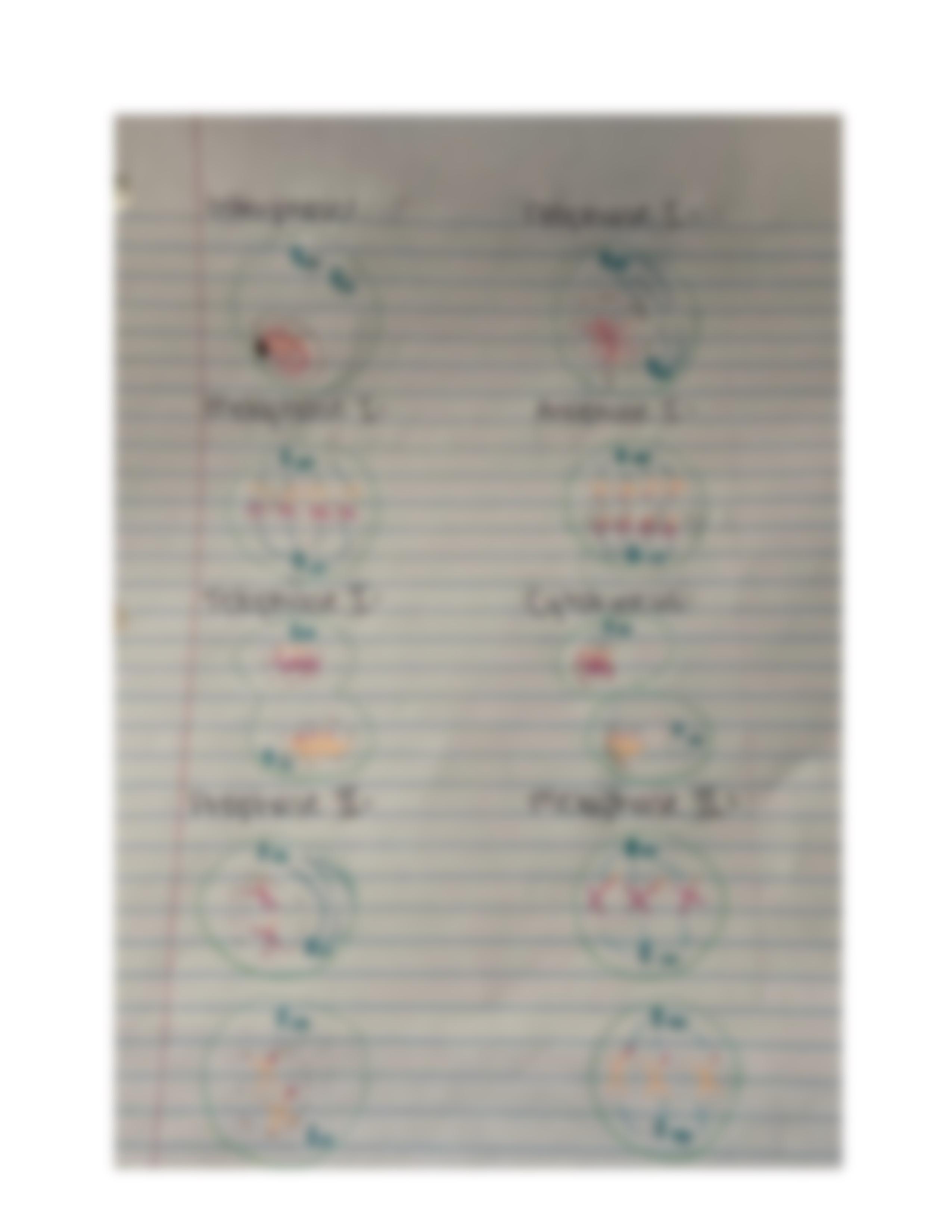 Lab 9_ Mitosis and Meiosis.pdf_dn2ealqj4qx_page4