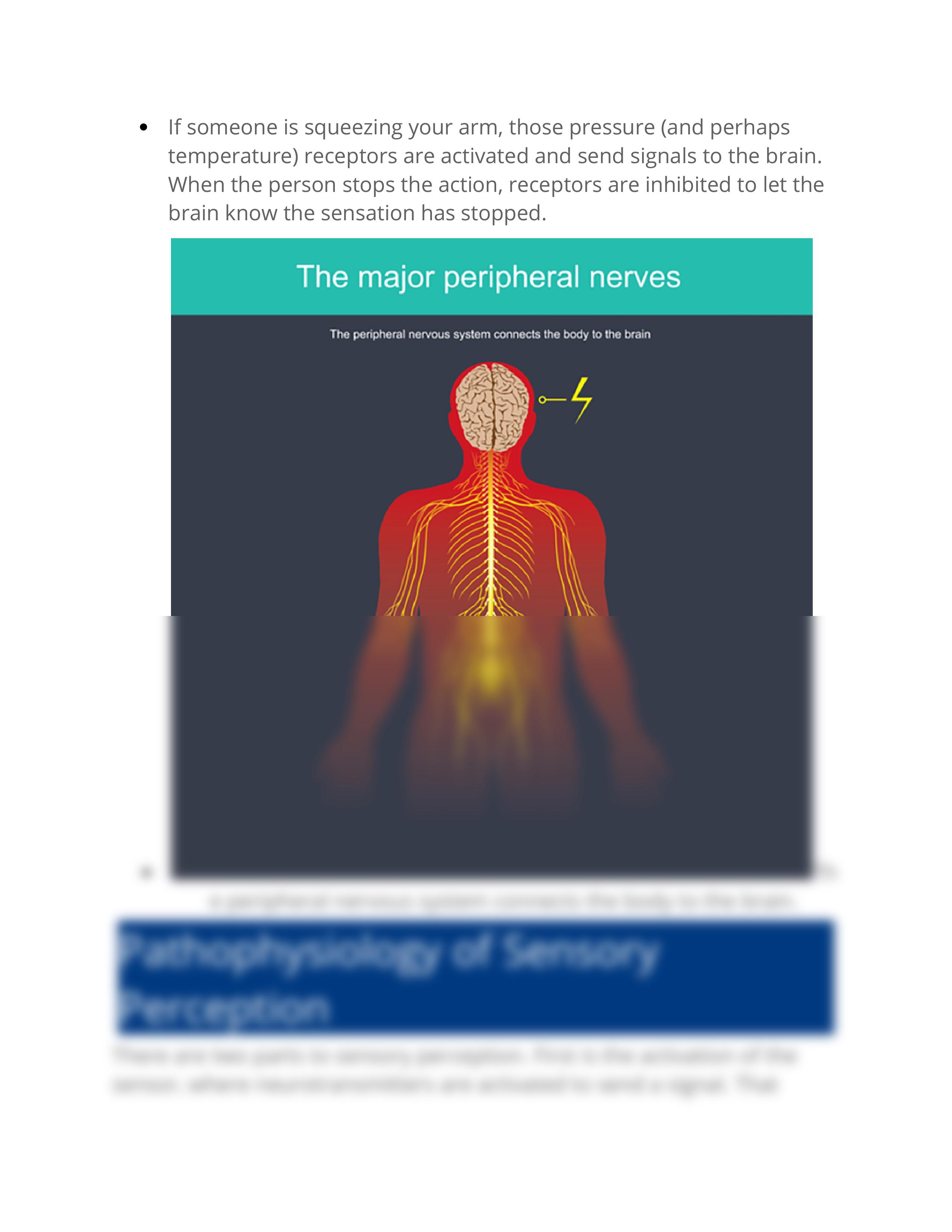 NR 283 - Edapt Unit 3 Sensory Perceptions.docx_dn6zpgfo9k1_page2